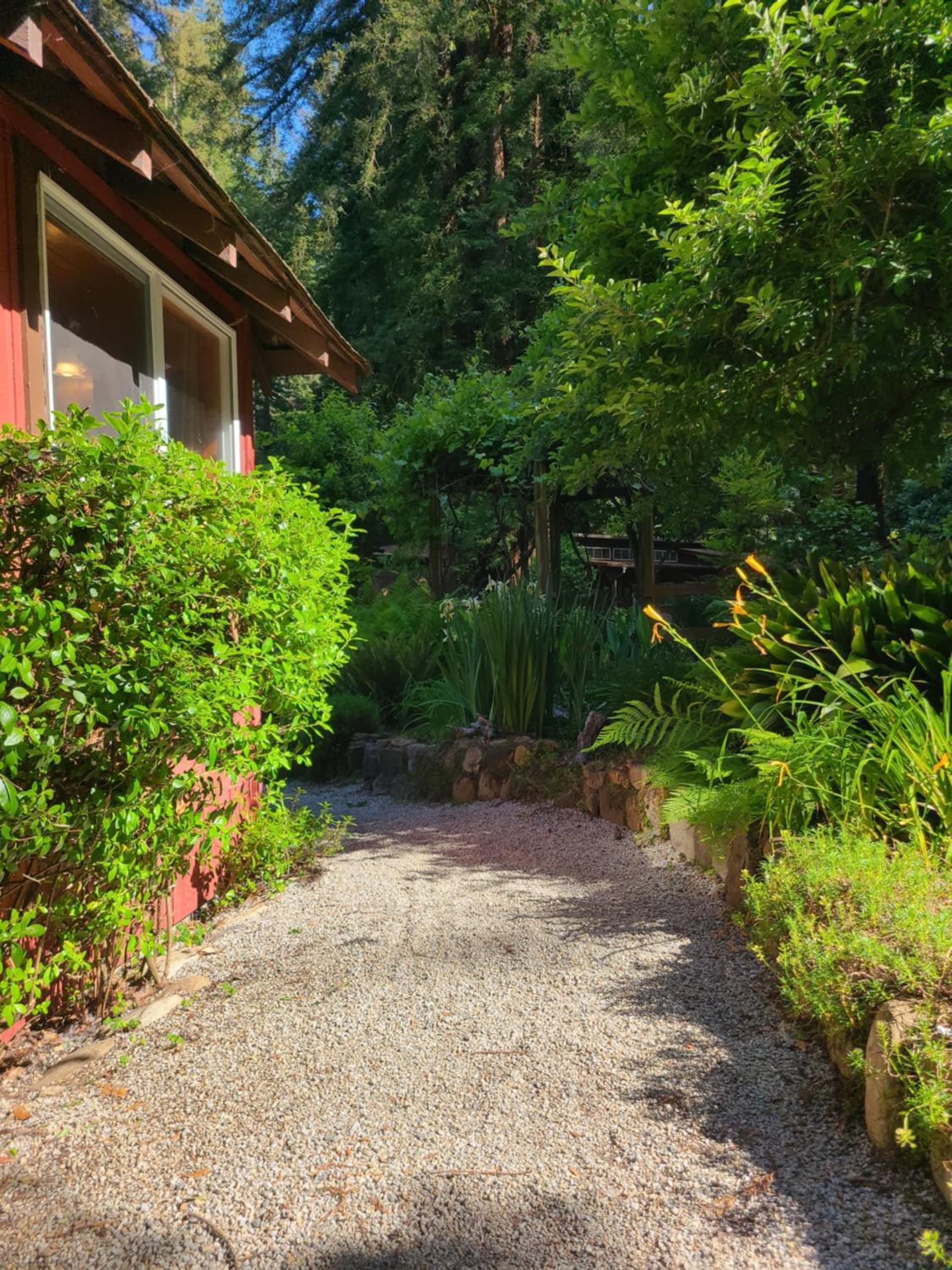 Fern River Resort gallery photo in Felton, CA — image 33
