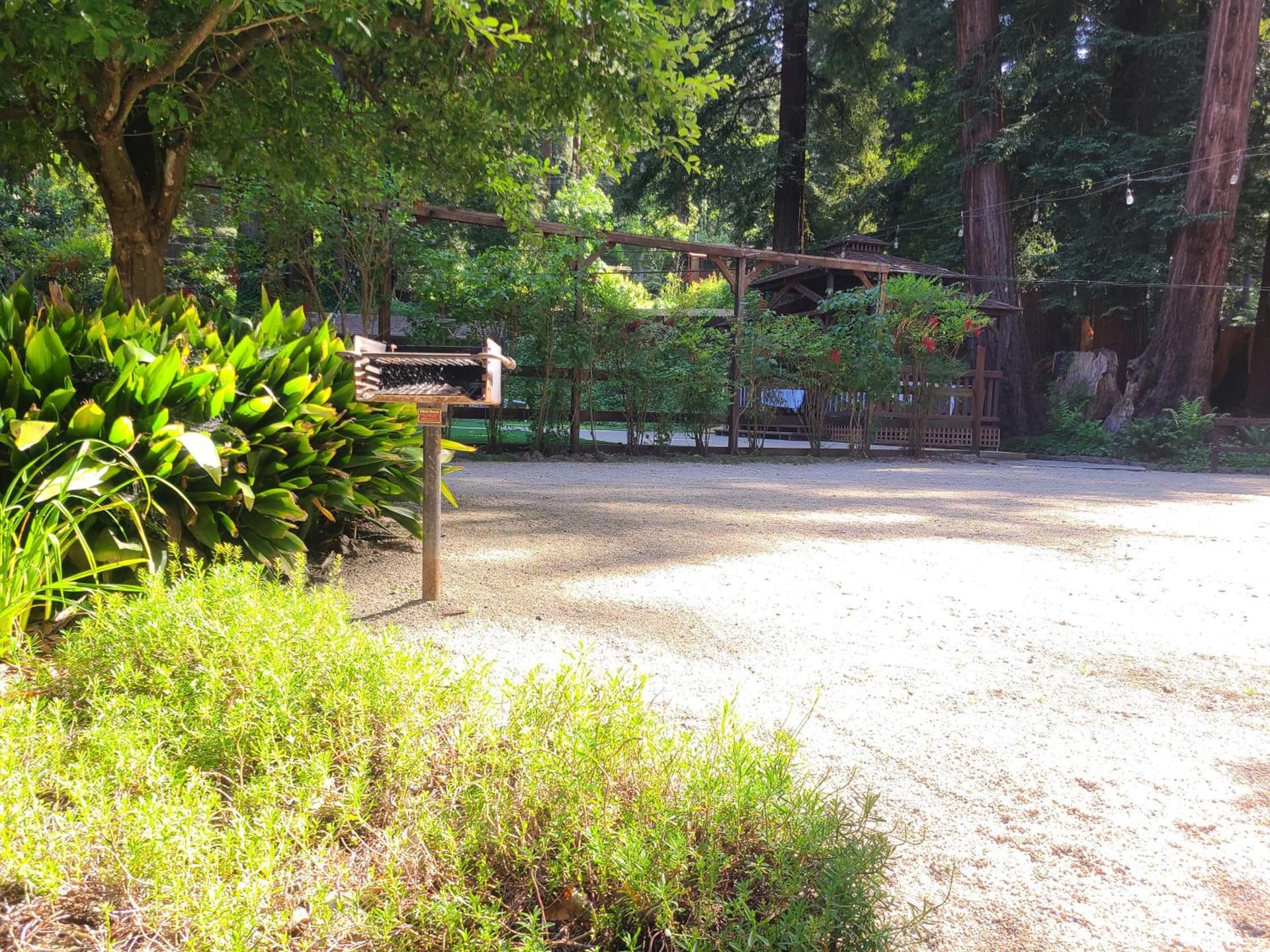 Fern River Resort gallery photo in Felton, CA — image 199