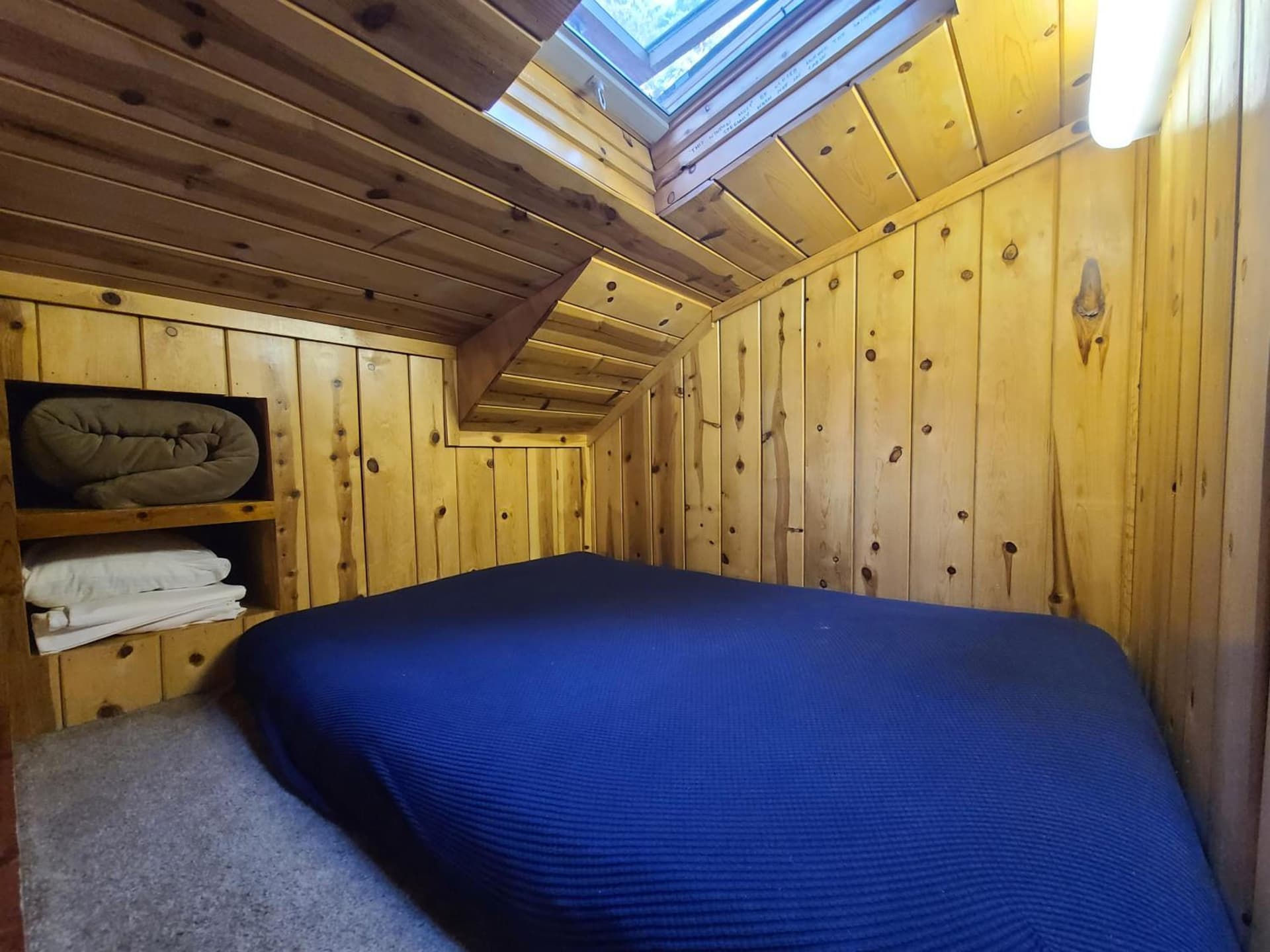 Fern River Resort gallery photo in Felton, CA — image 166