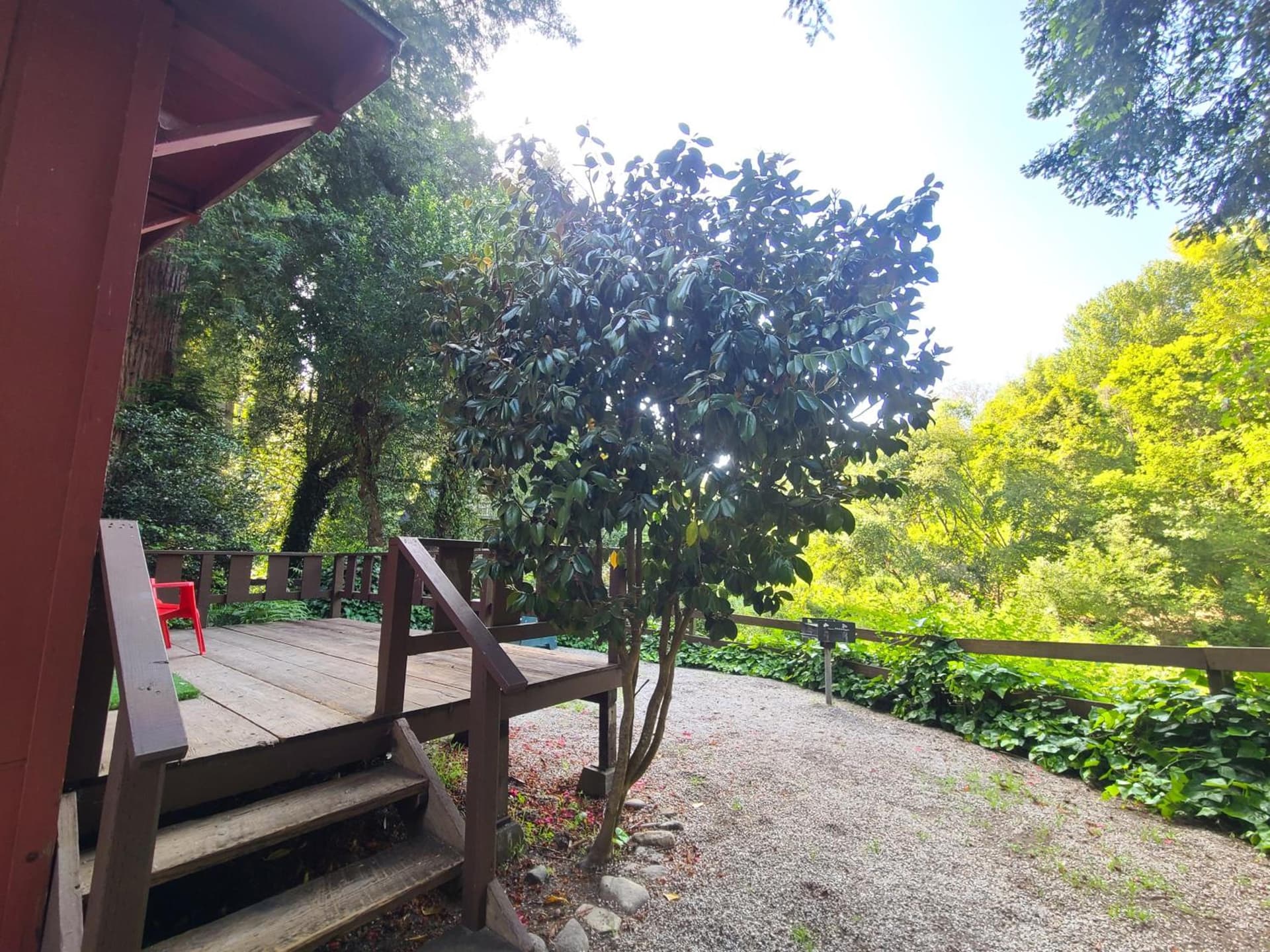 Fern River Resort gallery photo in Felton, CA — image 154