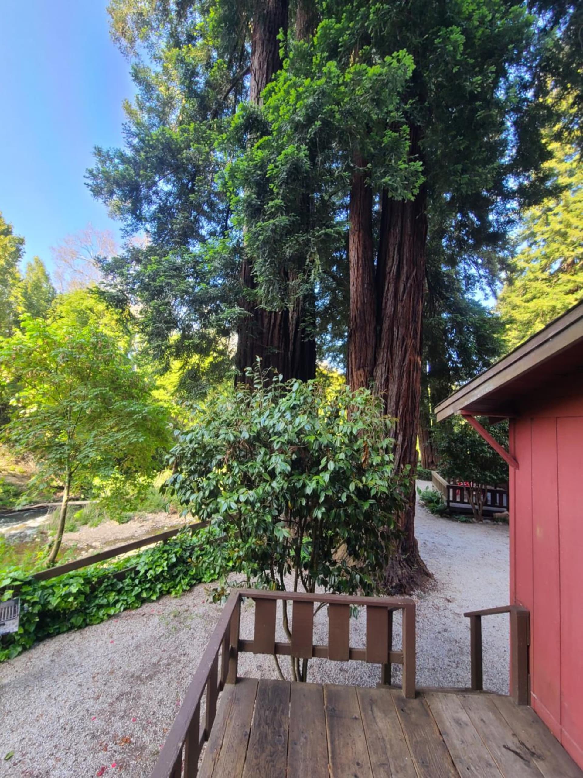 Fern River Resort gallery photo in Felton, CA — image 54