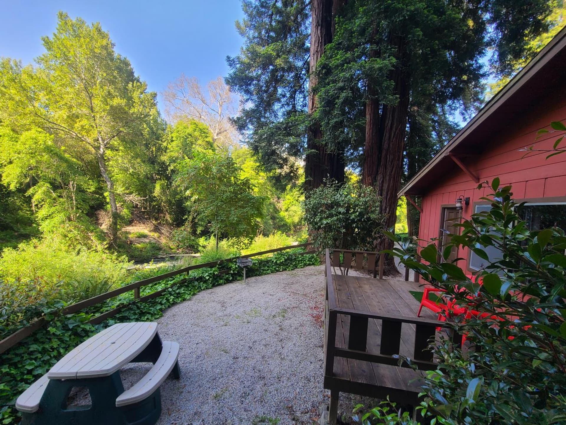 Fern River Resort gallery photo in Felton, CA — image 9