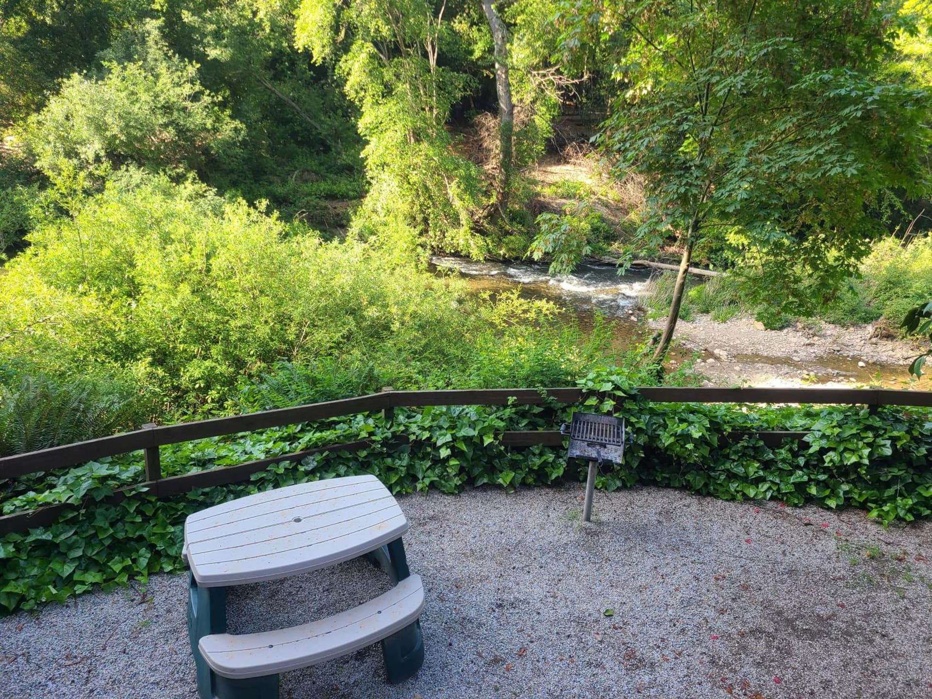 Fern River Resort gallery photo in Felton, CA — image 68