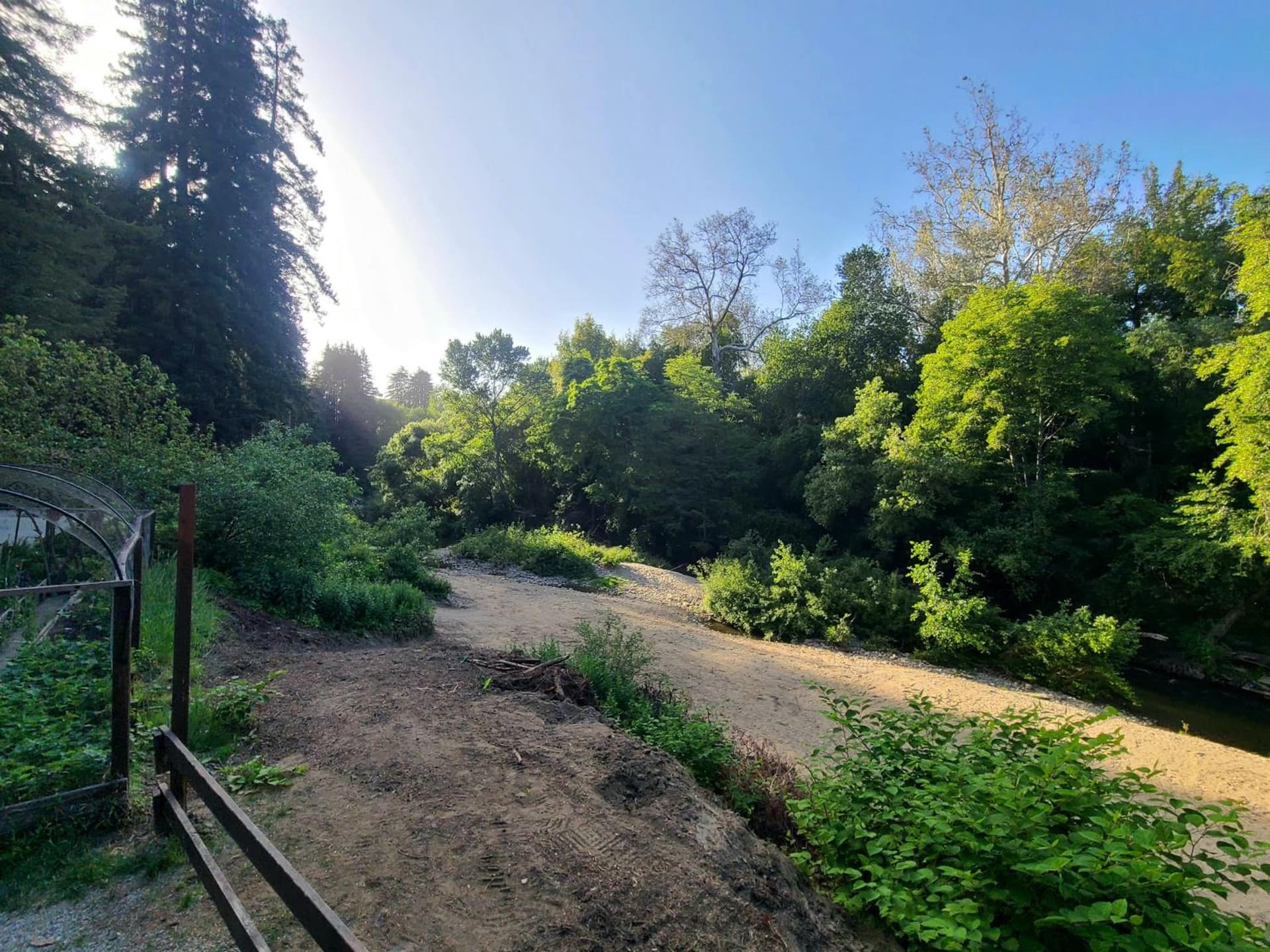 Fern River Resort gallery photo in Felton, CA — image 79