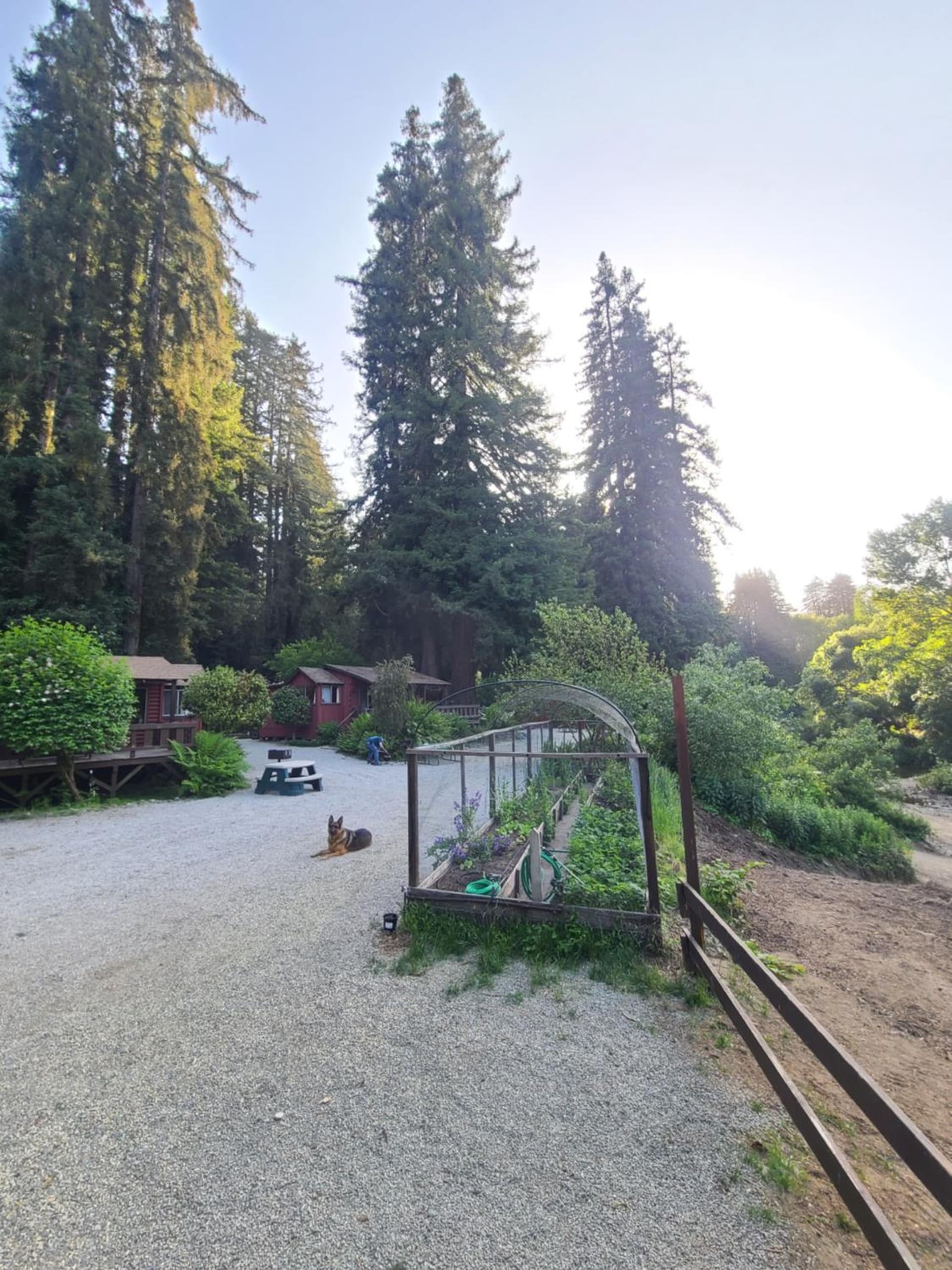 Fern River Resort gallery photo in Felton, CA — image 14