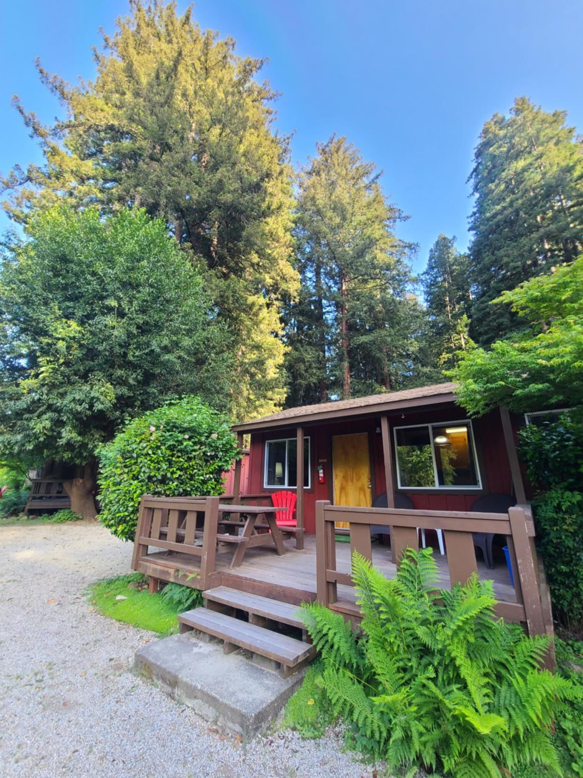 Fern River Resort gallery photo in Felton, CA — image 184