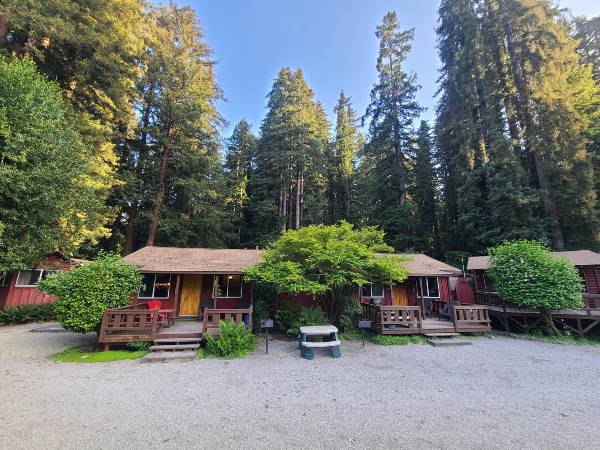 Fern River Resort gallery photo in Felton, CA — image 74