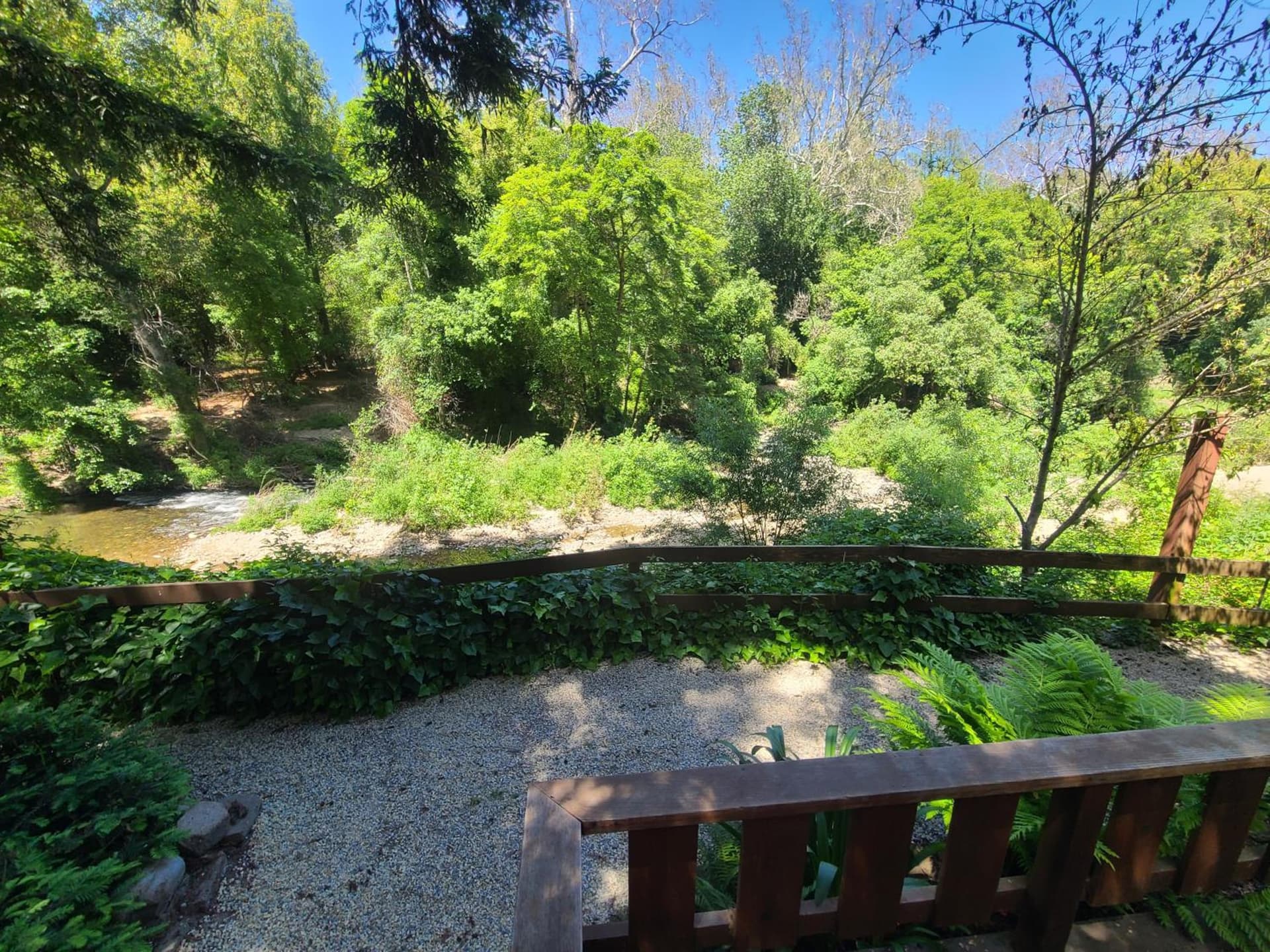 Fern River Resort gallery photo in Felton, CA — image 26
