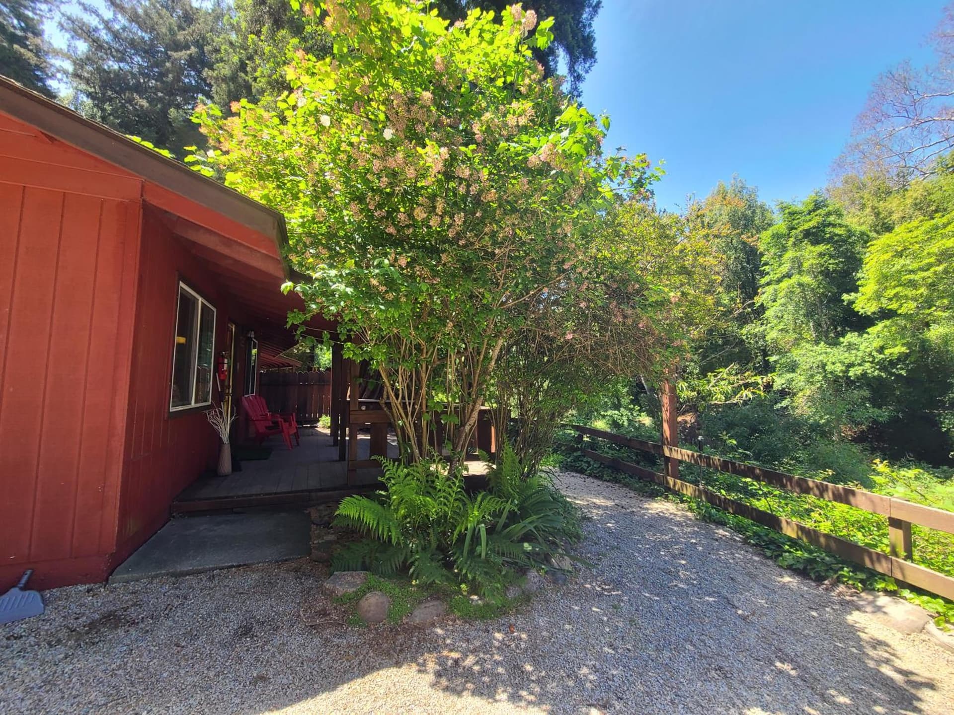 Fern River Resort gallery photo in Felton, CA — image 193