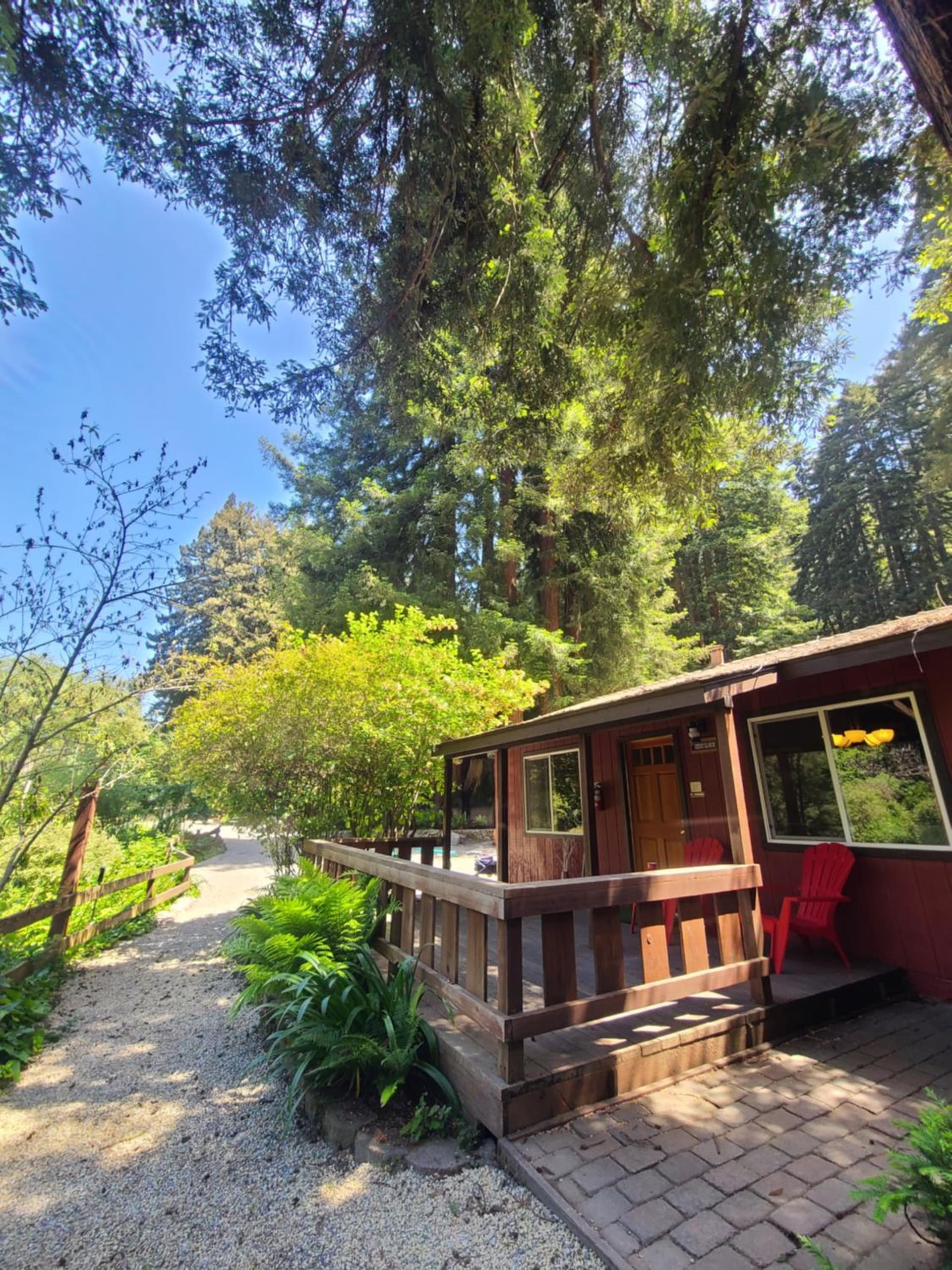 Fern River Resort gallery photo in Felton, CA — image 142