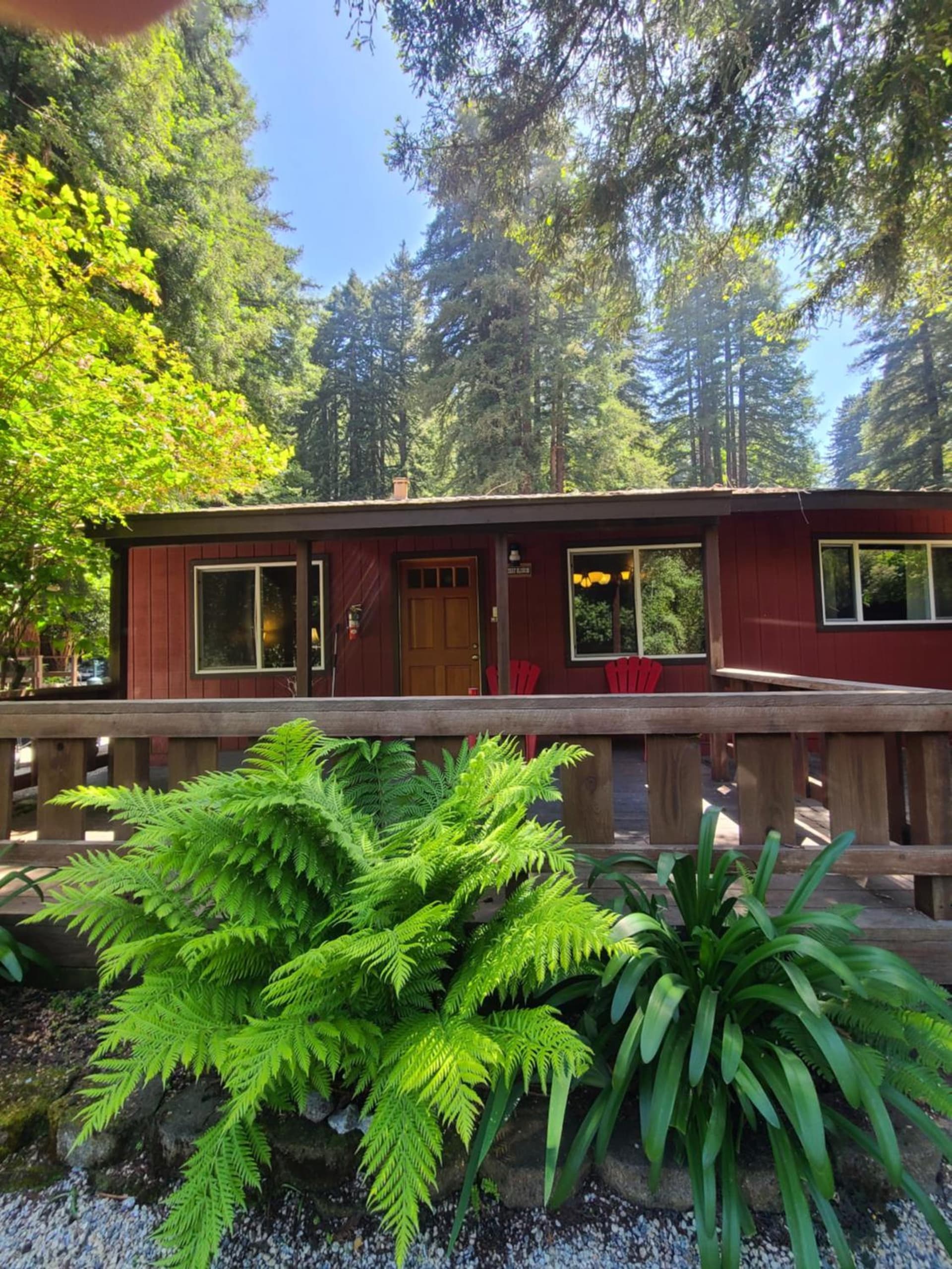 Fern River Resort gallery photo in Felton, CA — image 202