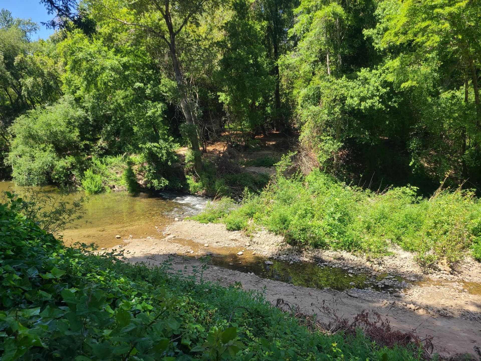 Fern River Resort gallery photo in Felton, CA — image 45