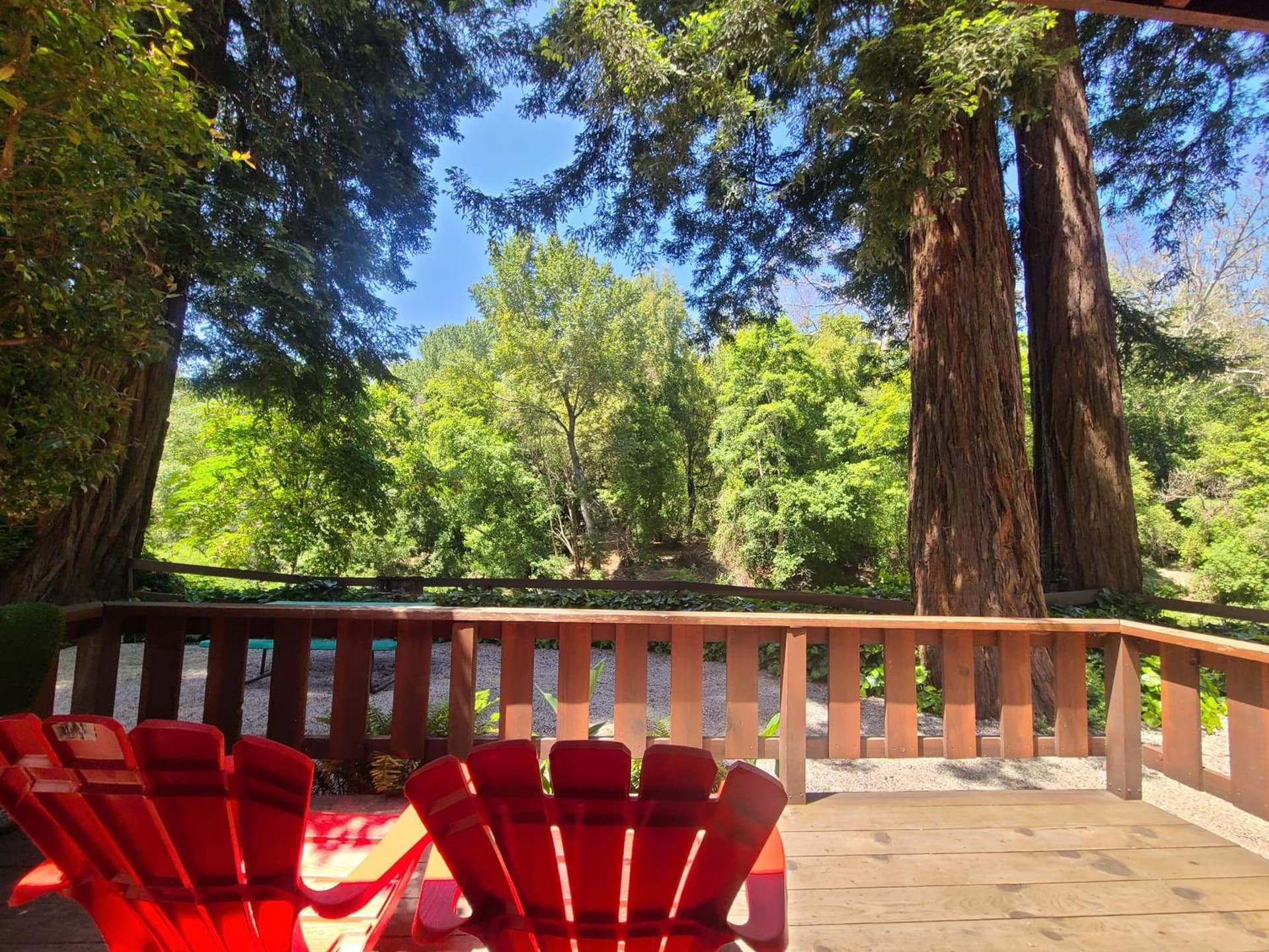 Fern River Resort gallery photo in Felton, CA — image 161