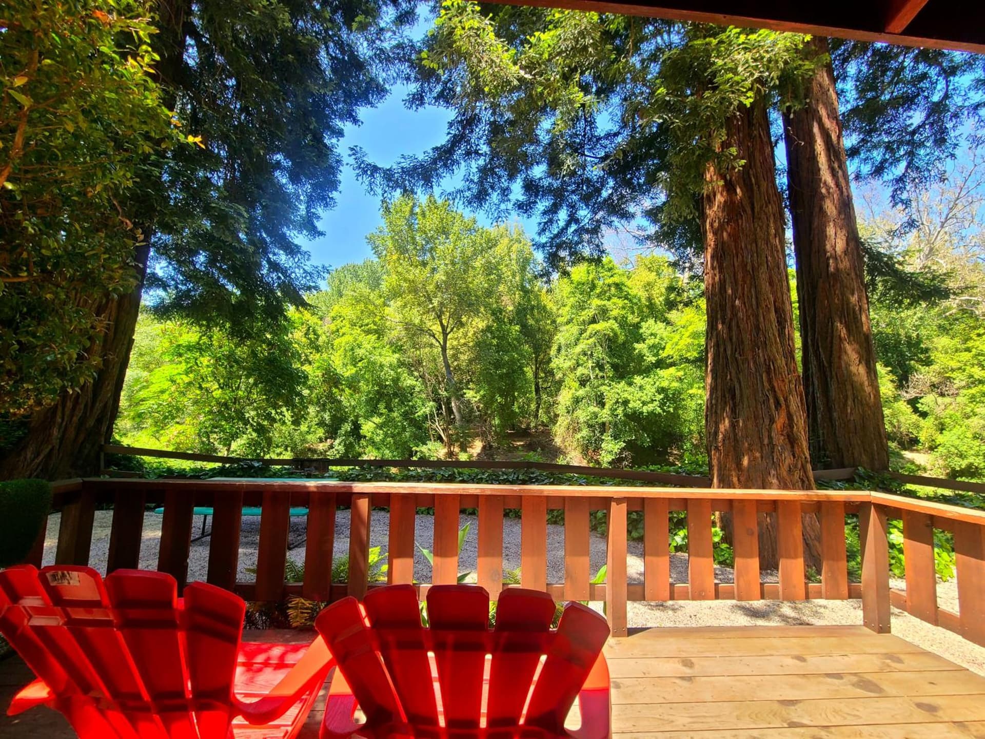 Fern River Resort gallery photo in Felton, CA — image 38