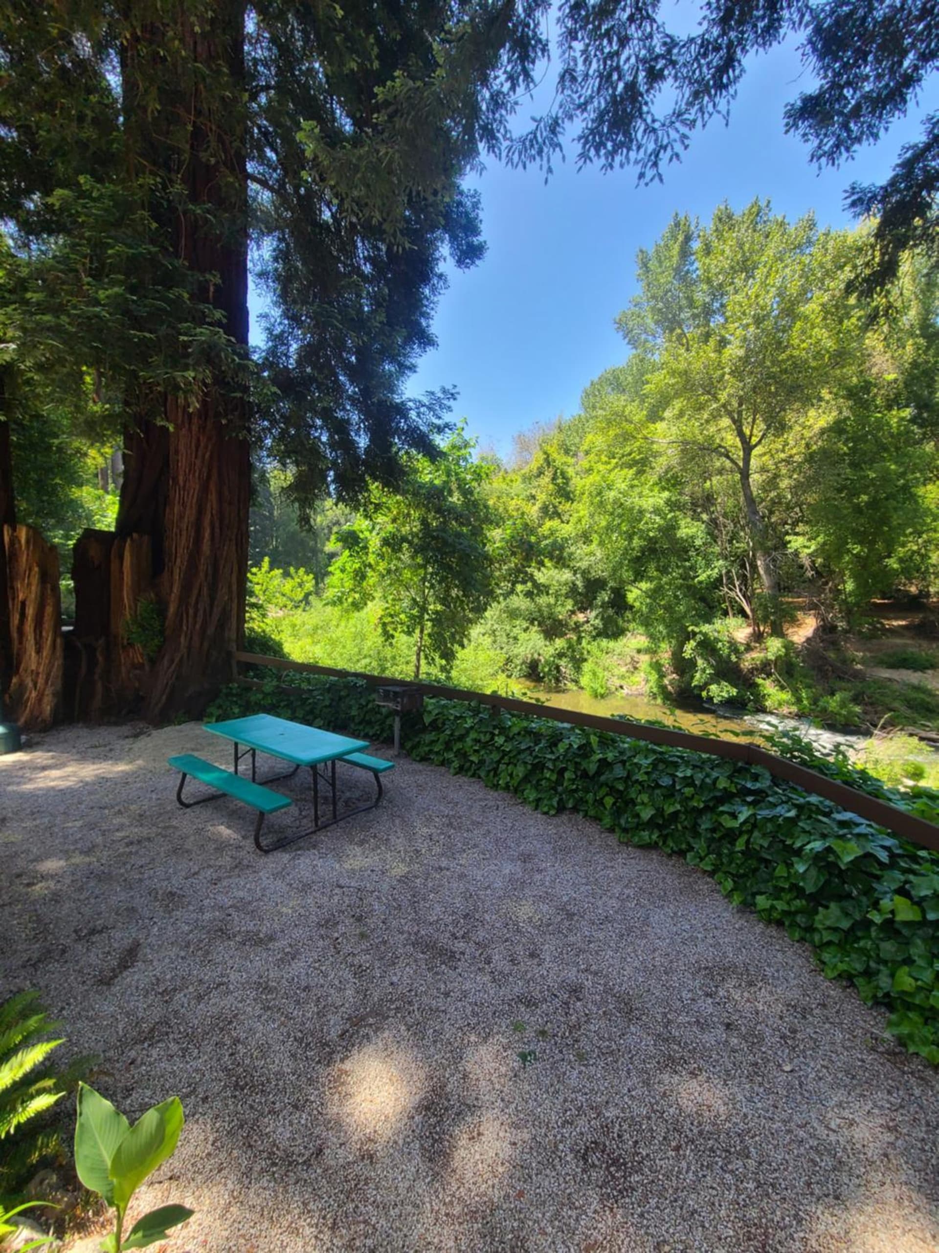 Fern River Resort gallery photo in Felton, CA — image 129