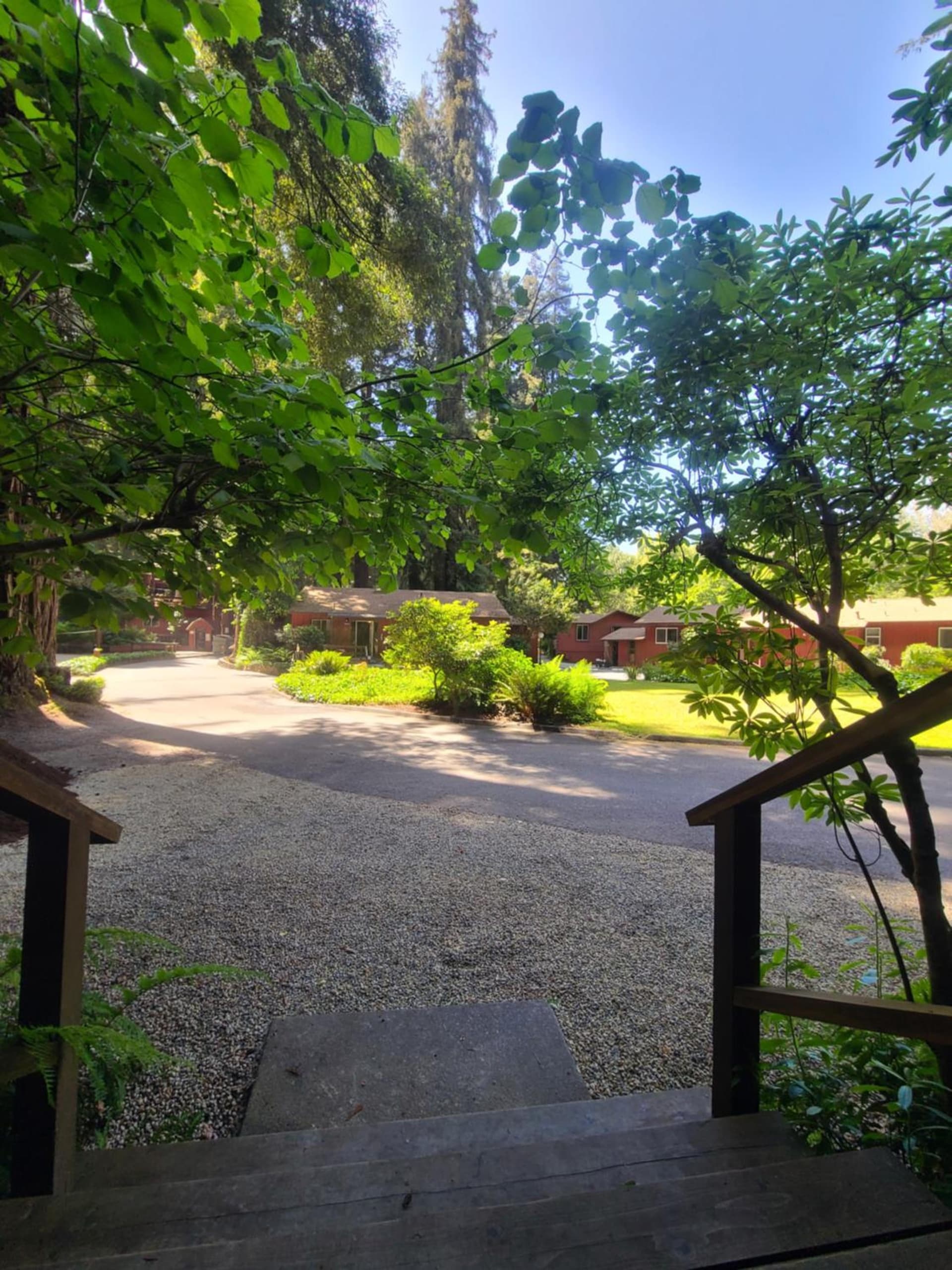 Fern River Resort gallery photo in Felton, CA — image 201