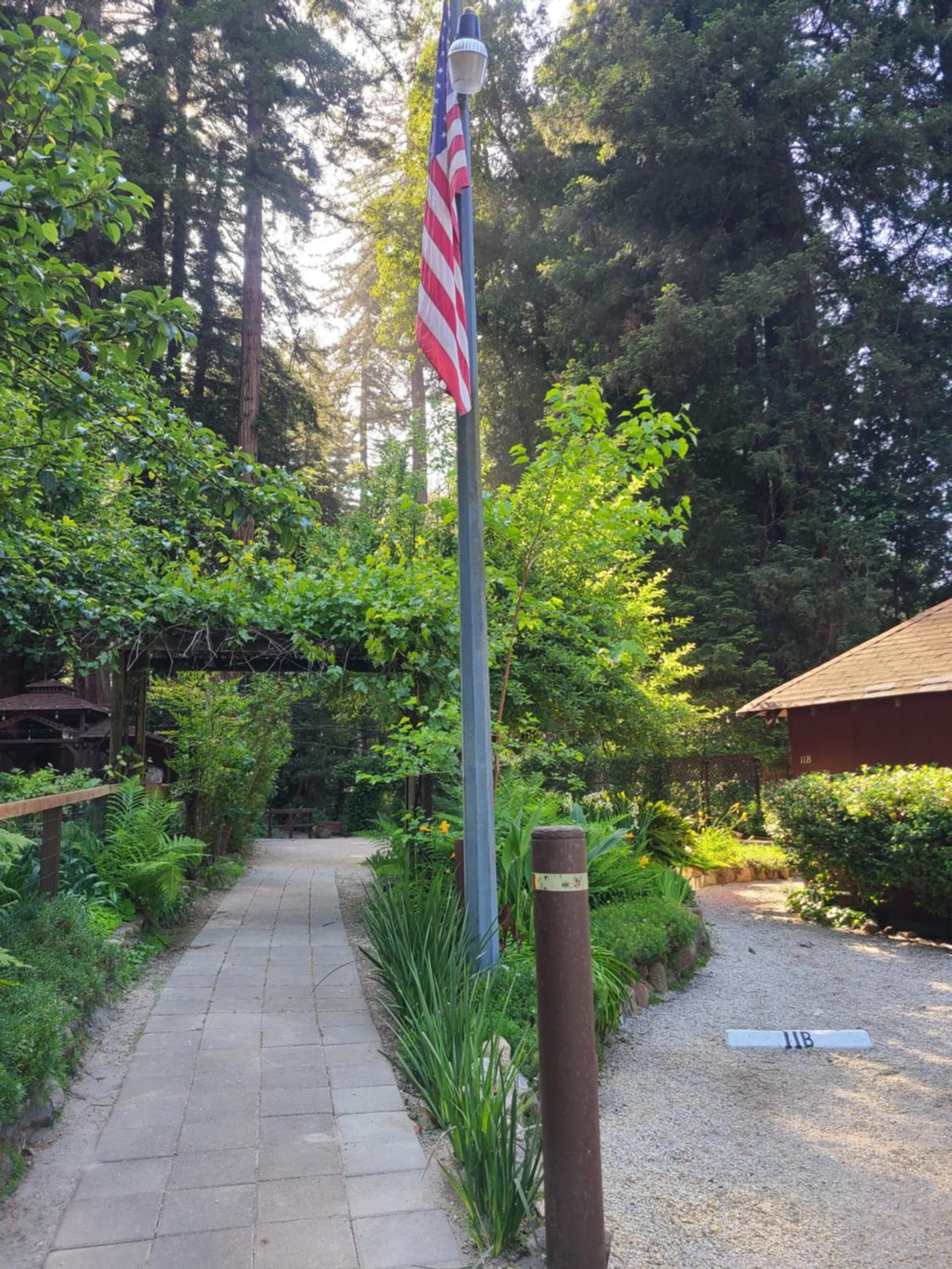 Fern River Resort gallery photo in Felton, CA — image 16