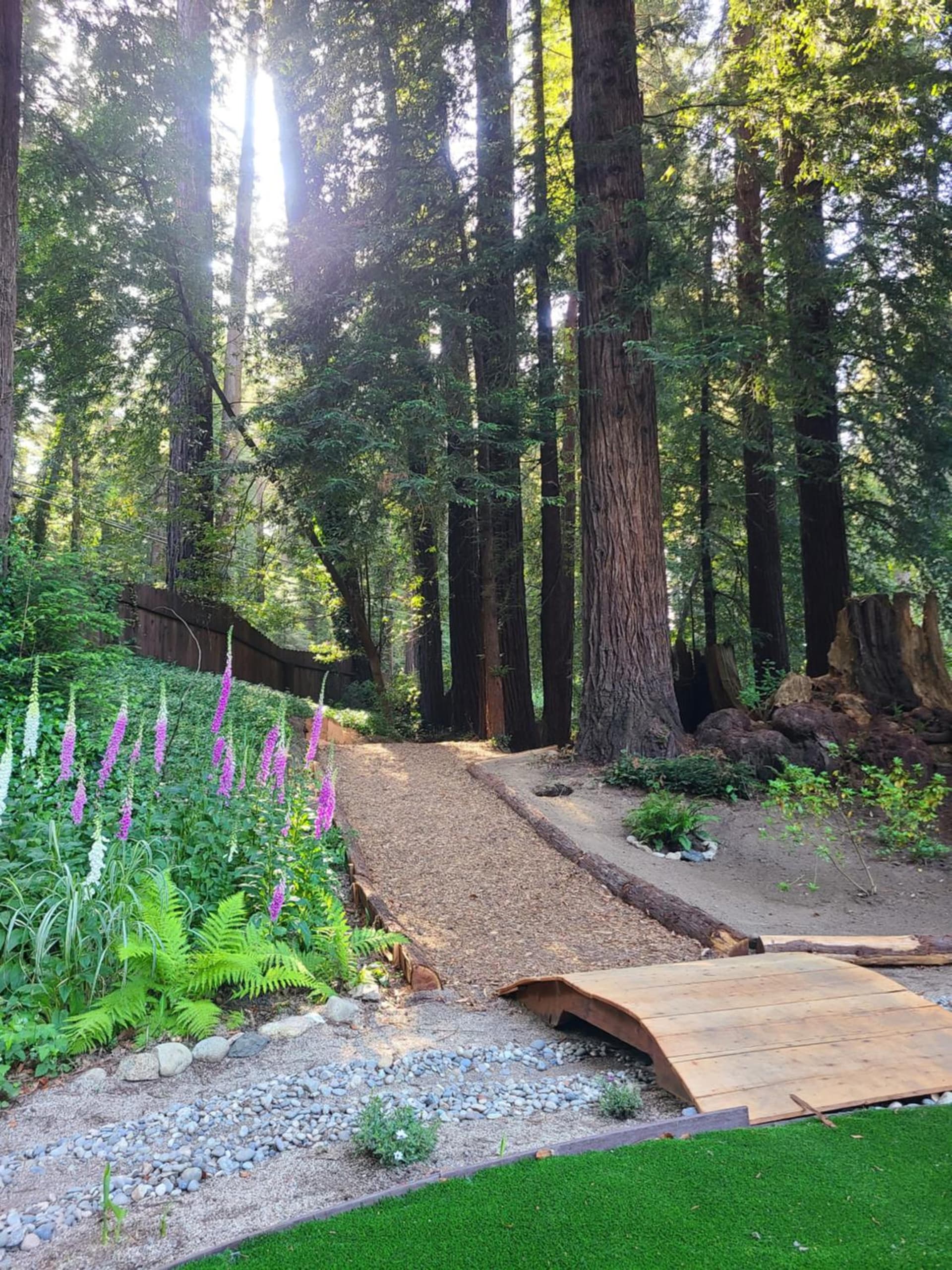 Fern River Resort gallery photo in Felton, CA — image 124