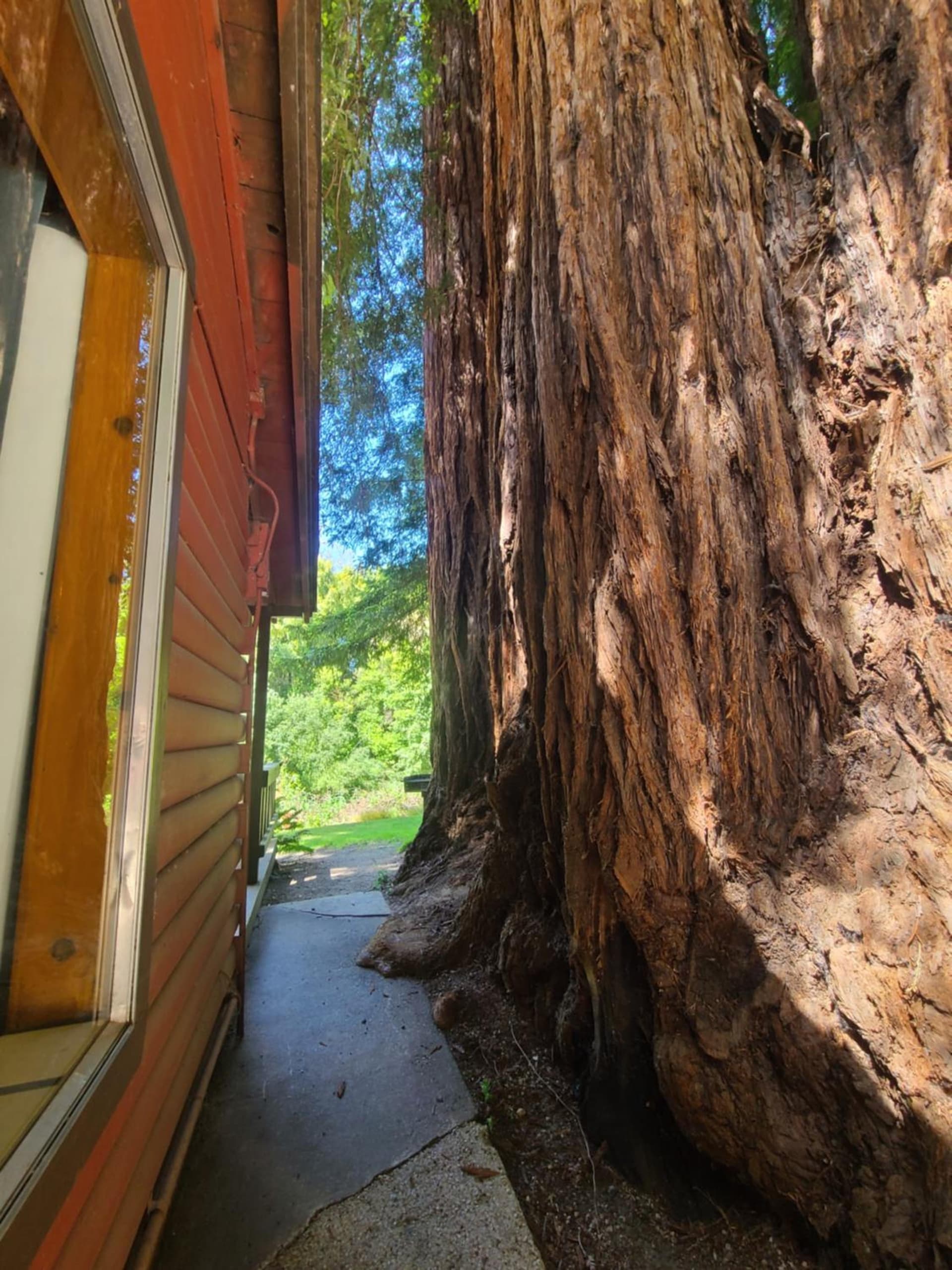 Fern River Resort gallery photo in Felton, CA — image 181
