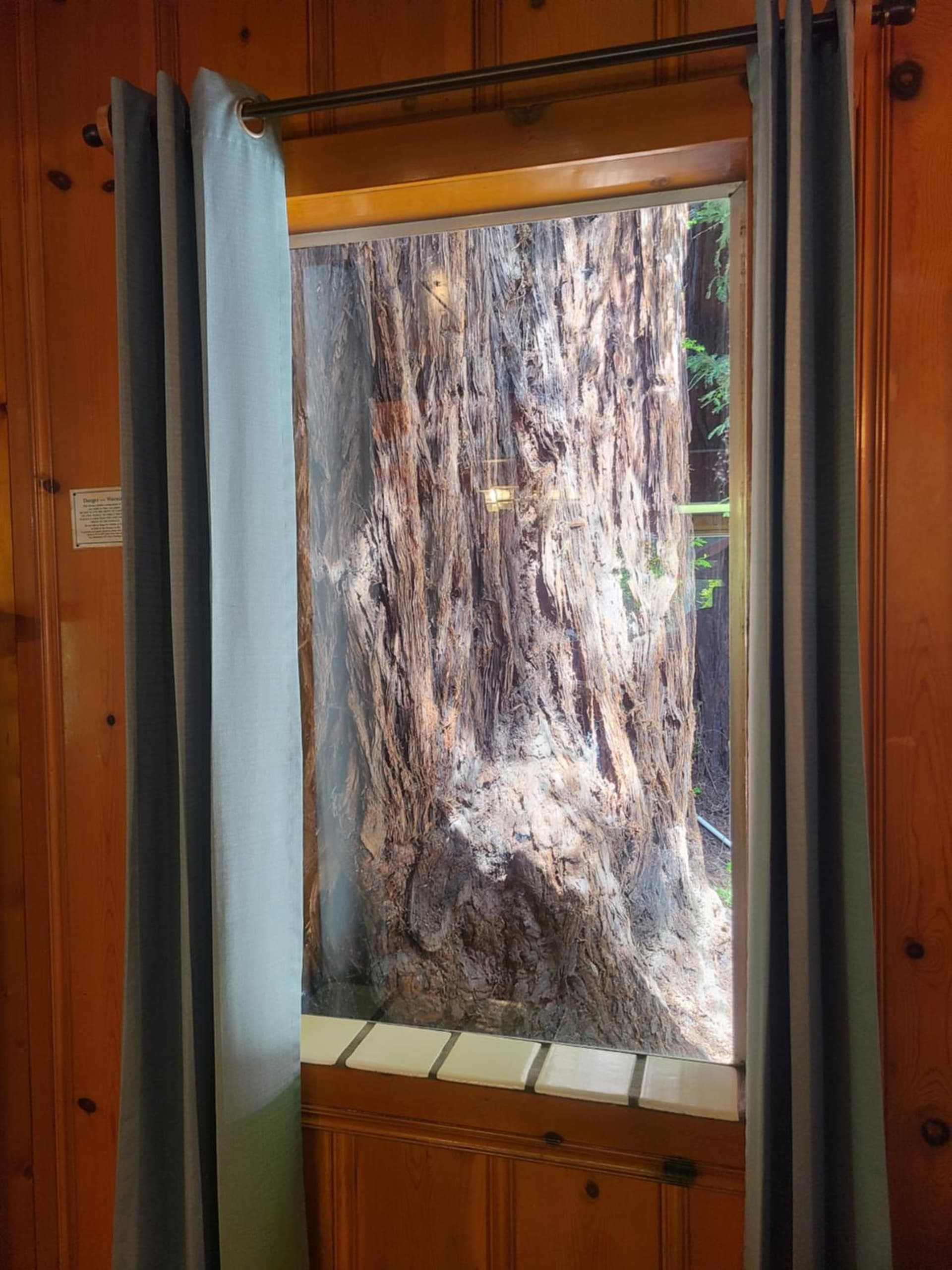 Fern River Resort gallery photo in Felton, CA — image 47