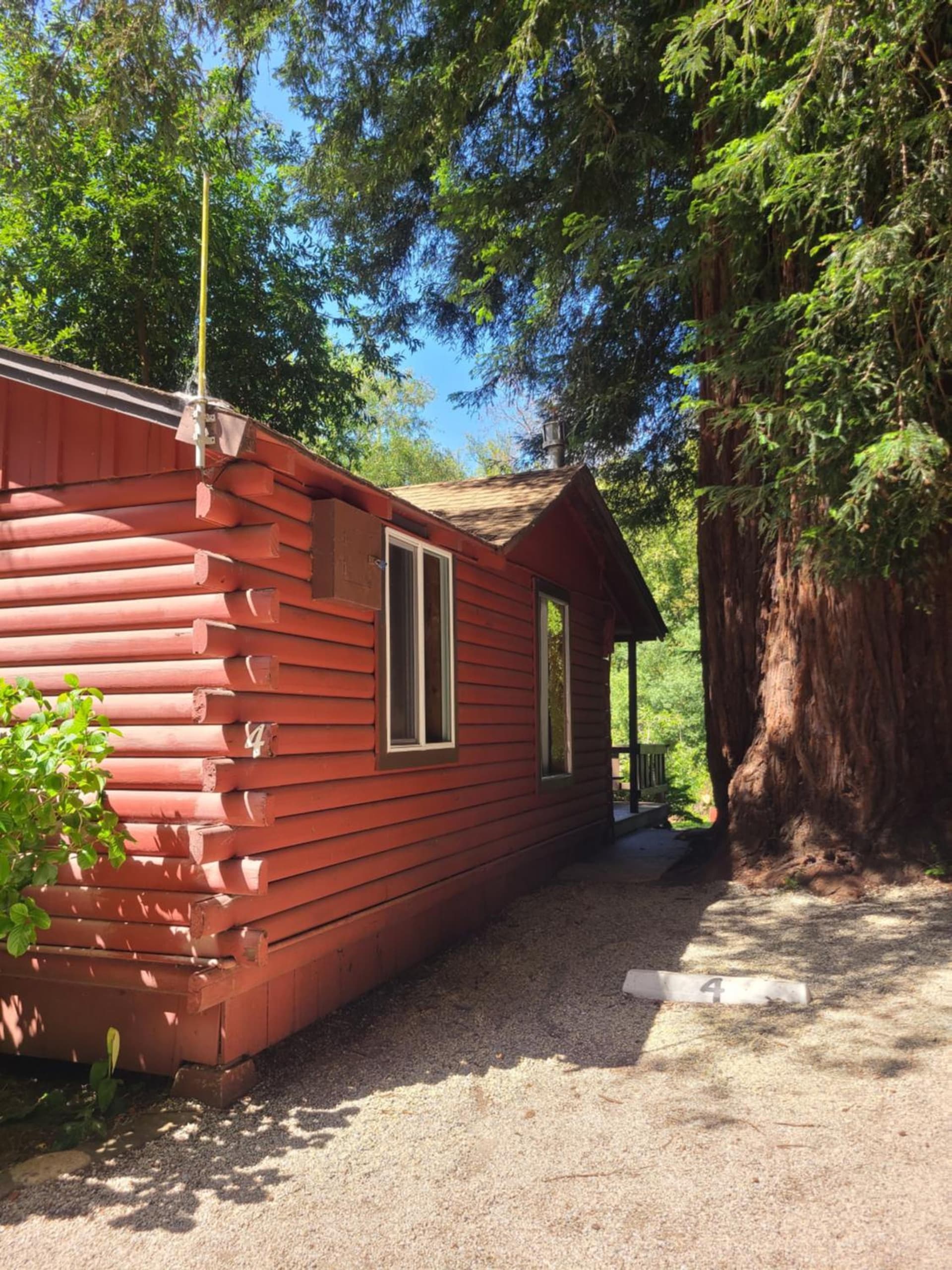 Fern River Resort gallery photo in Felton, CA — image 126