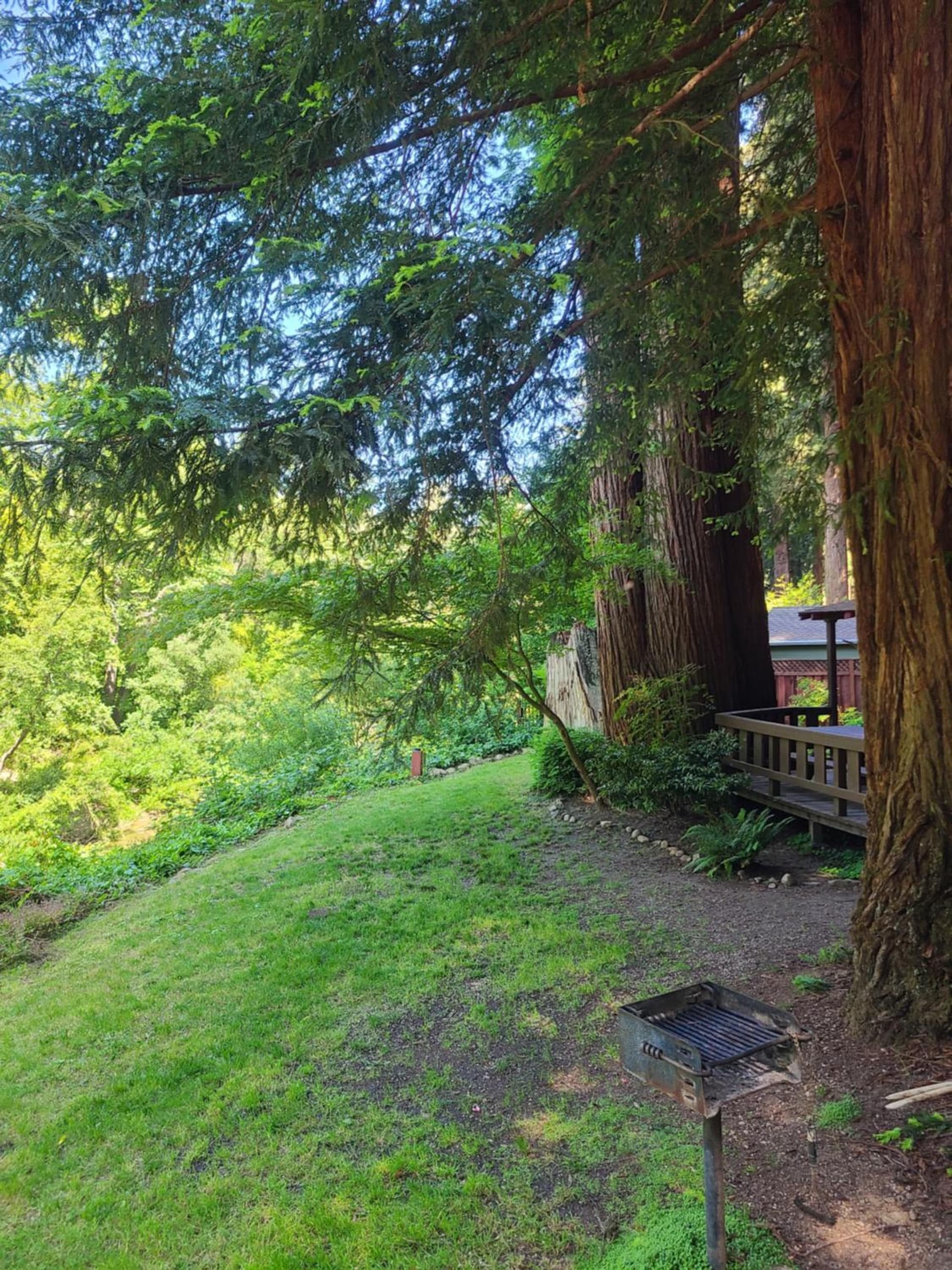 Fern River Resort gallery photo in Felton, CA — image 132