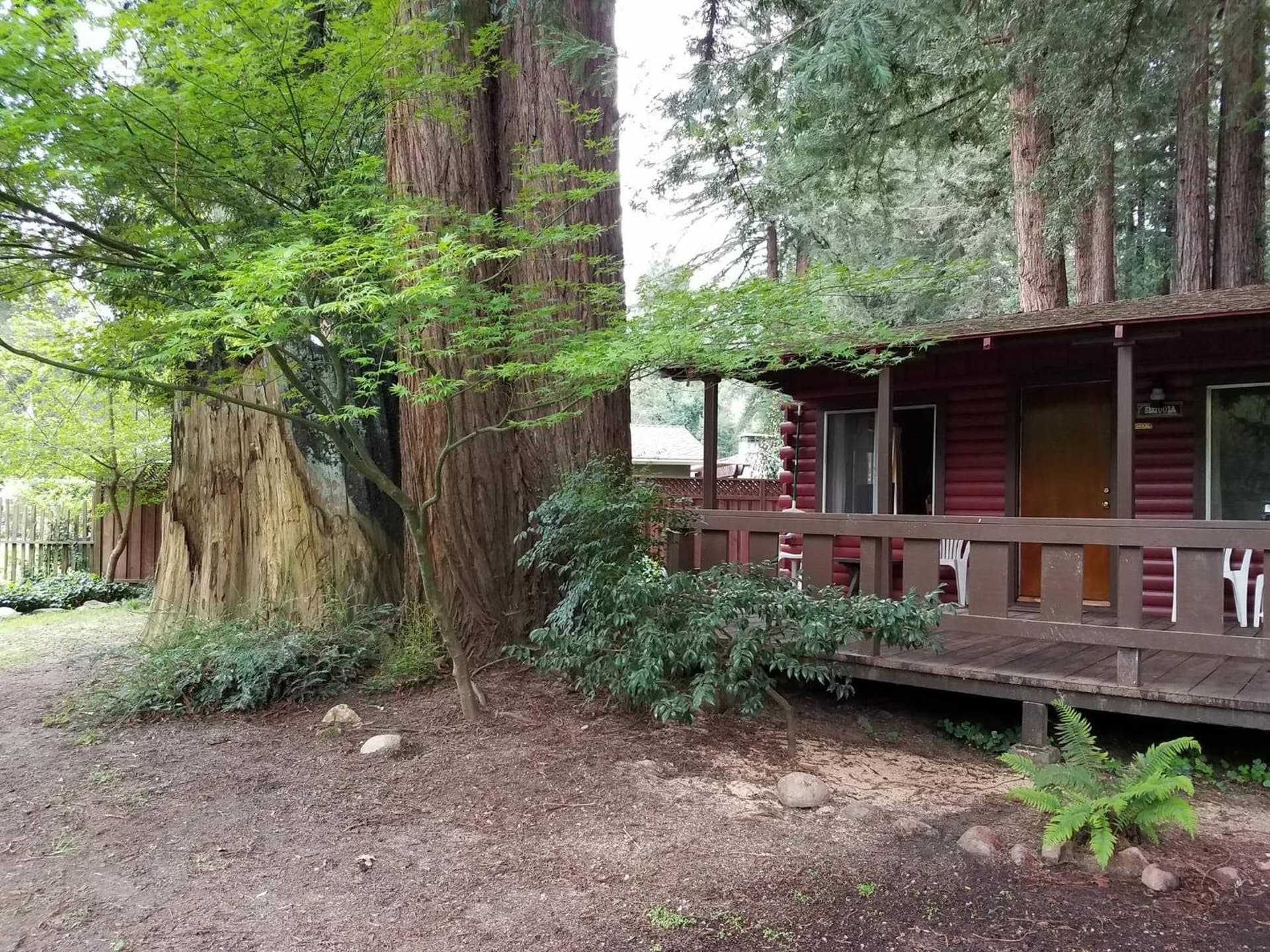 Fern River Resort gallery photo in Felton, CA — image 69