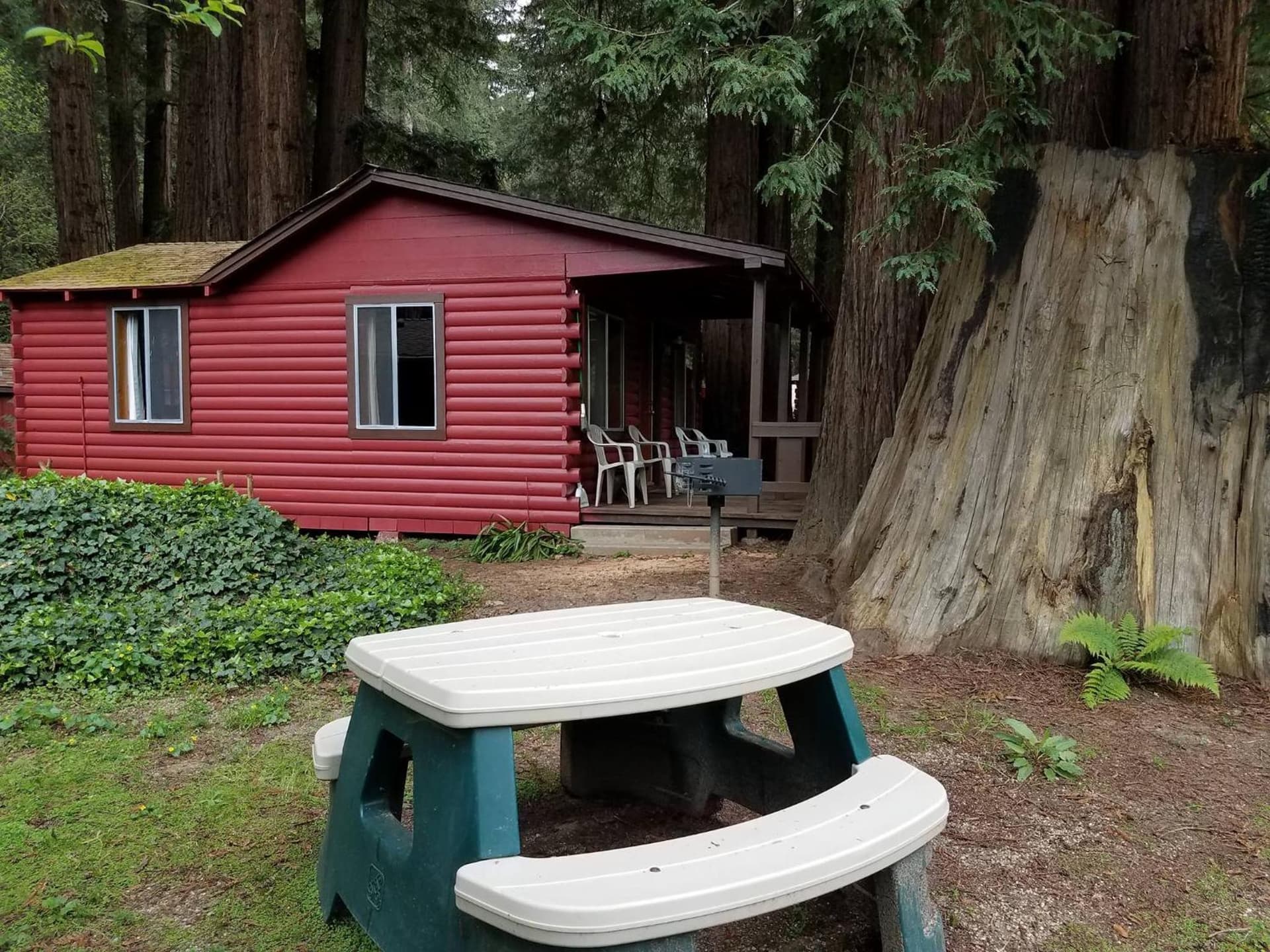 Fern River Resort gallery photo in Felton, CA — image 105