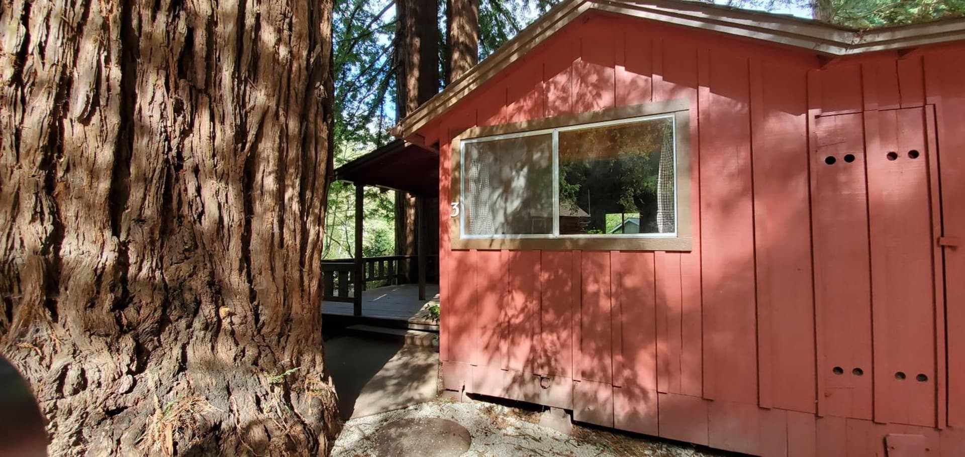 Fern River Resort gallery photo in Felton, CA — image 88