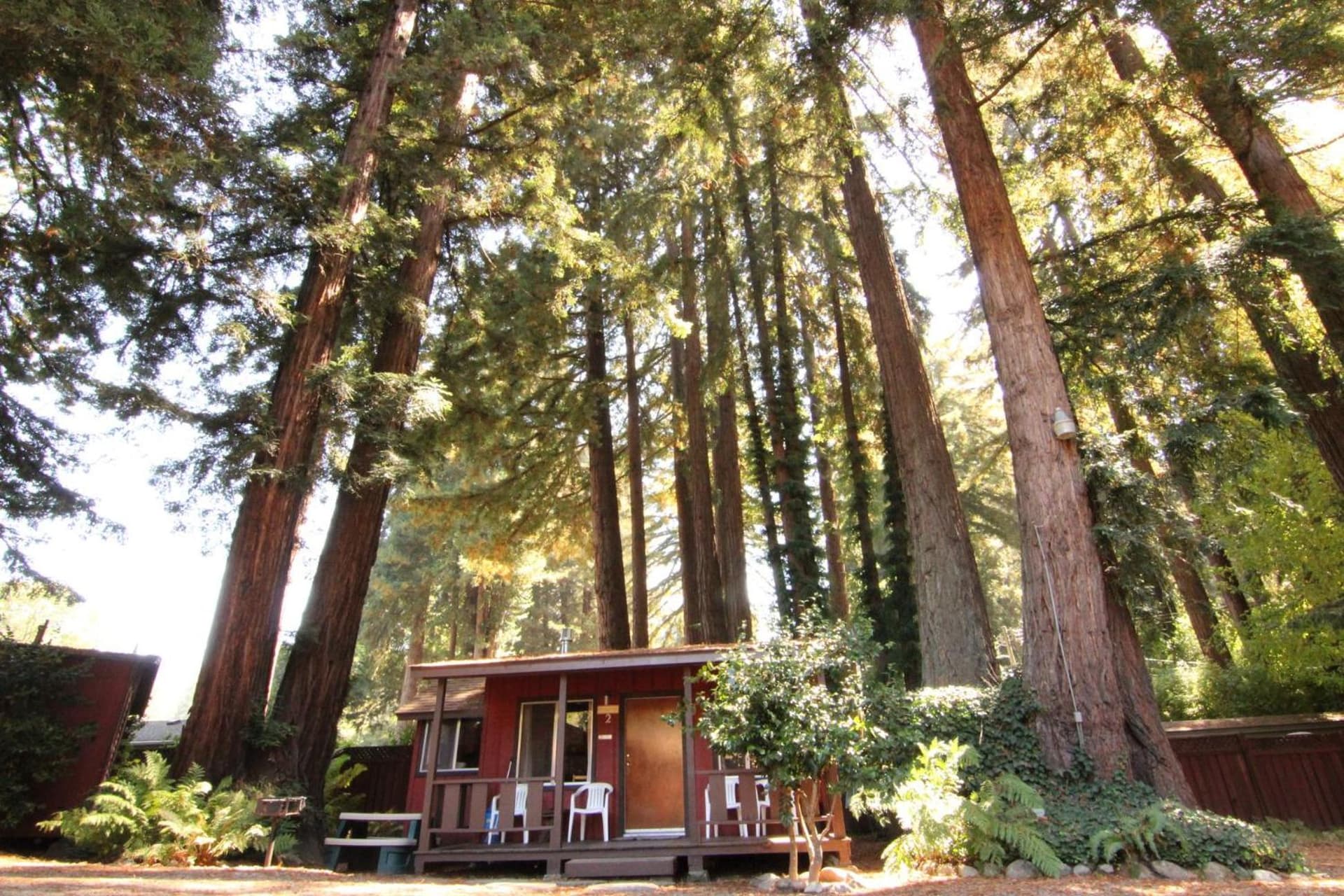 Fern River Resort gallery photo in Felton, CA — image 115