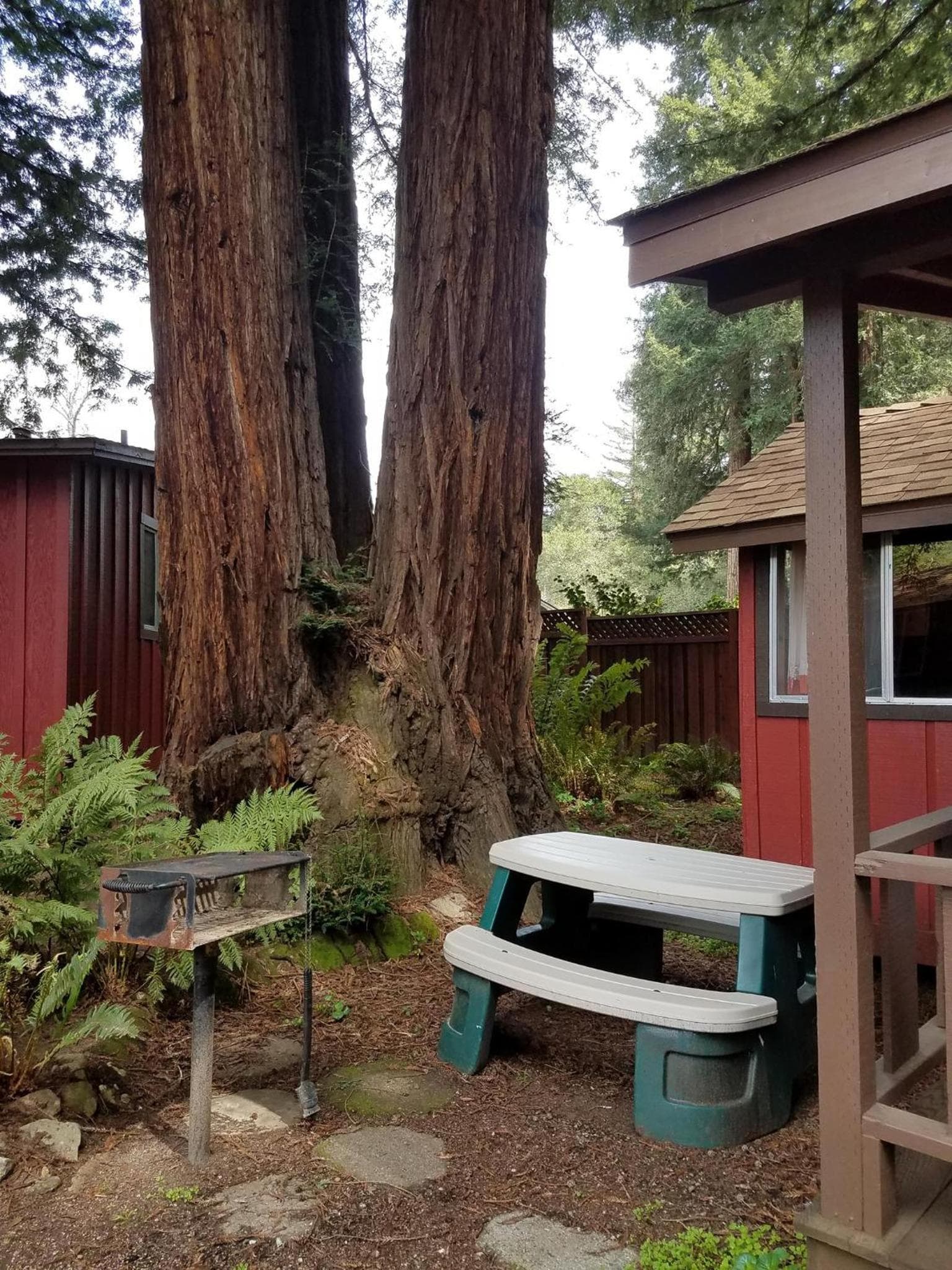 Fern River Resort gallery photo in Felton, CA — image 164