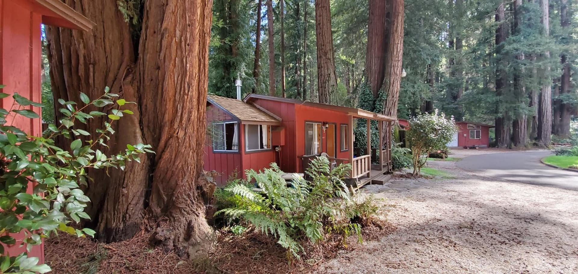 Fern River Resort gallery photo in Felton, CA — image 28