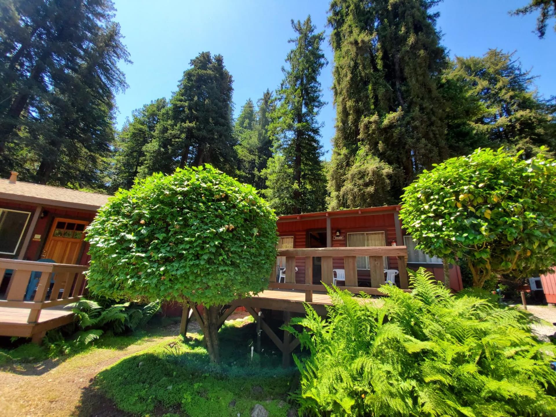 Fern River Resort gallery photo in Felton, CA — image 128