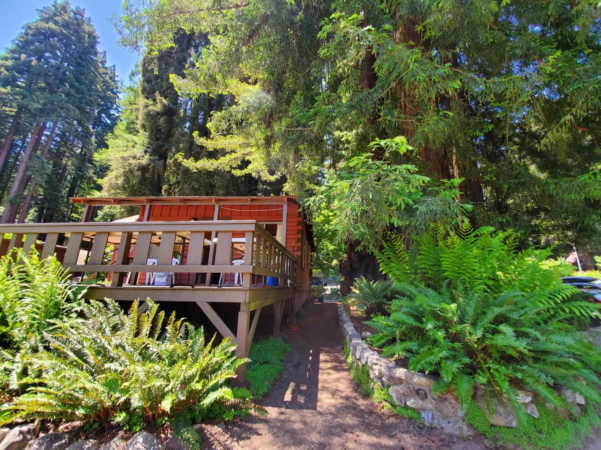 Fern River Resort gallery photo in Felton, CA — image 86