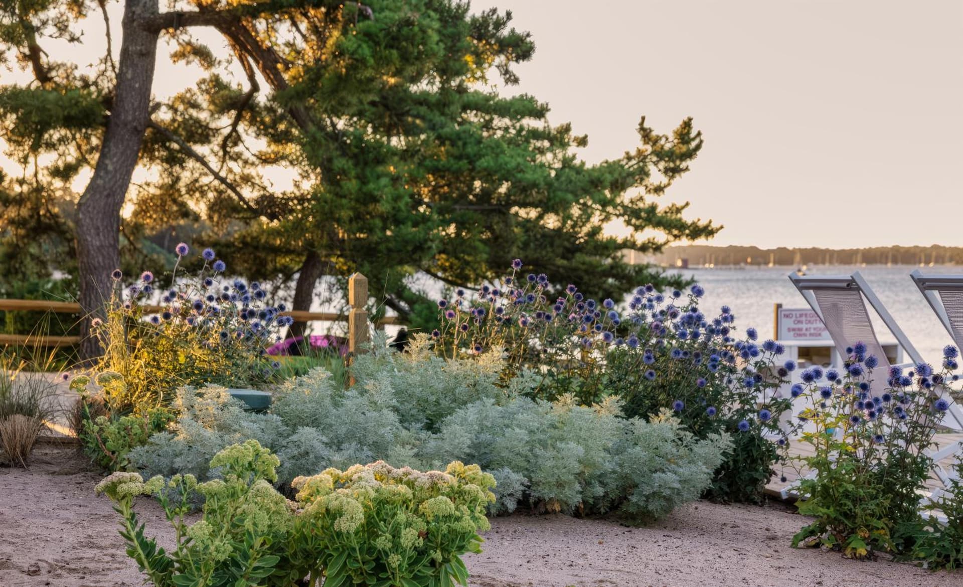 Silver Sands Motel & Beach Bungalows gallery photo in Greenport, NY — image 77