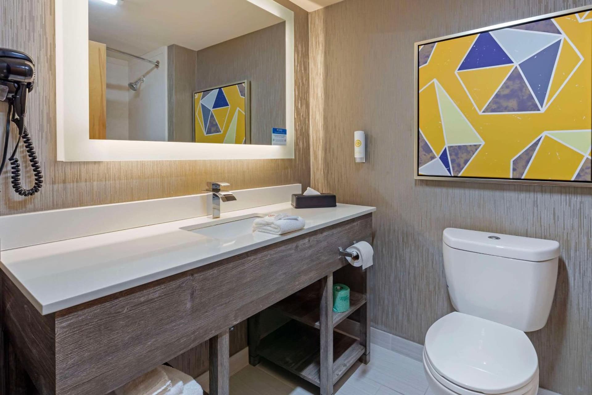 Comfort Inn & Suites Greenville Near East Carolina University gallery photo in Greenville, NC — image 4