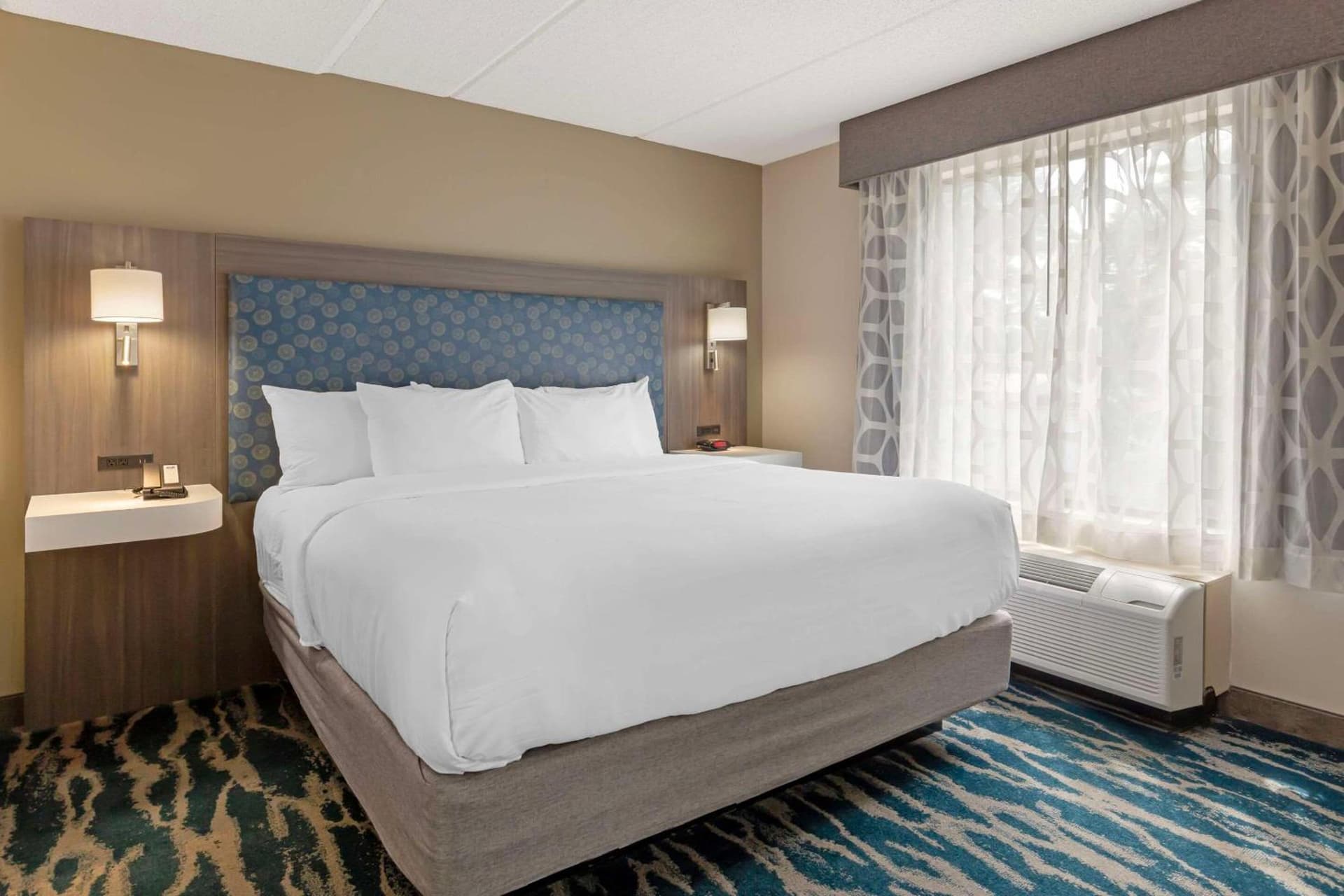 Comfort Inn & Suites Greenville Near East Carolina University gallery photo in Greenville, NC — image 9