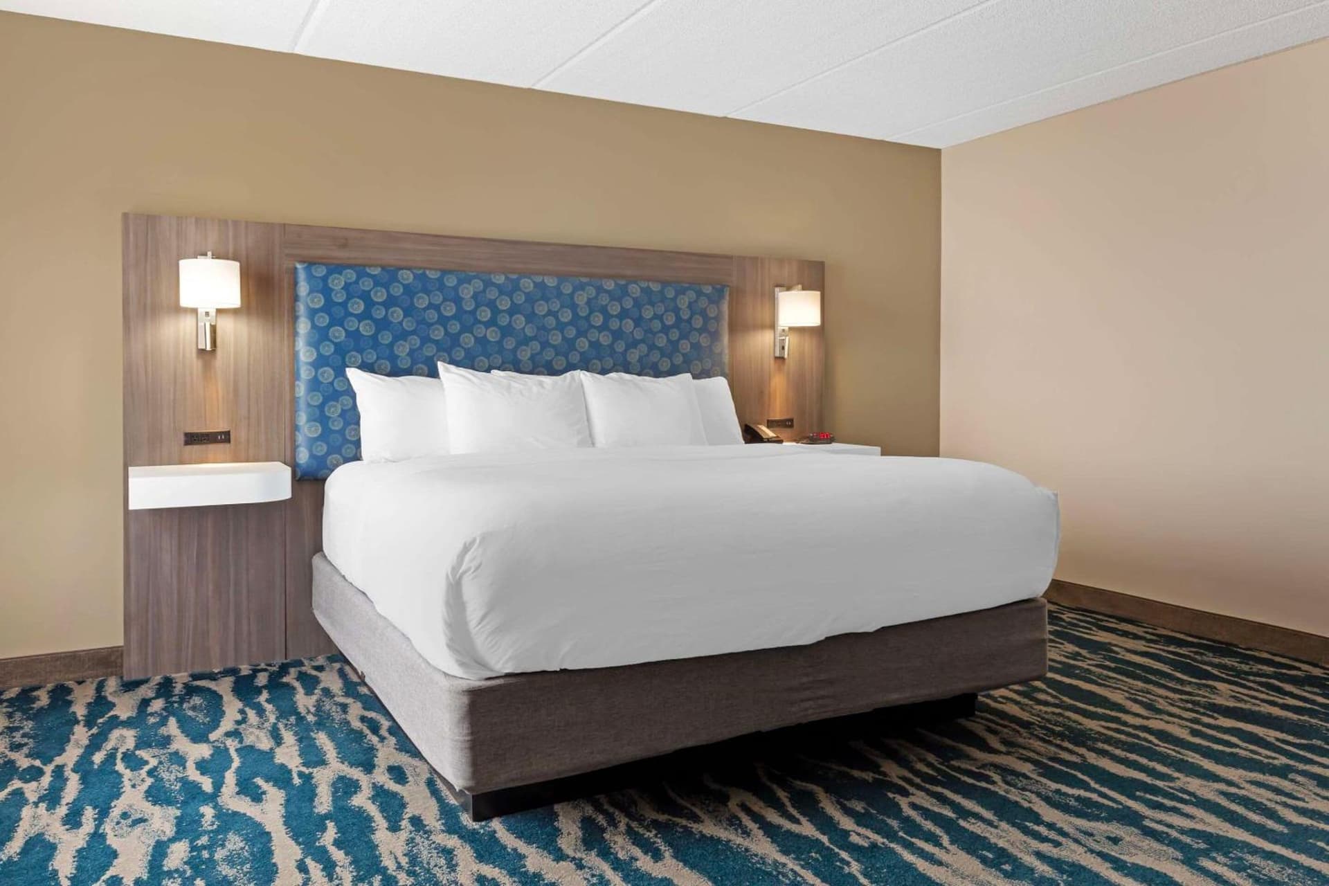 Comfort Inn & Suites Greenville Near East Carolina University gallery photo in Greenville, NC — image 72