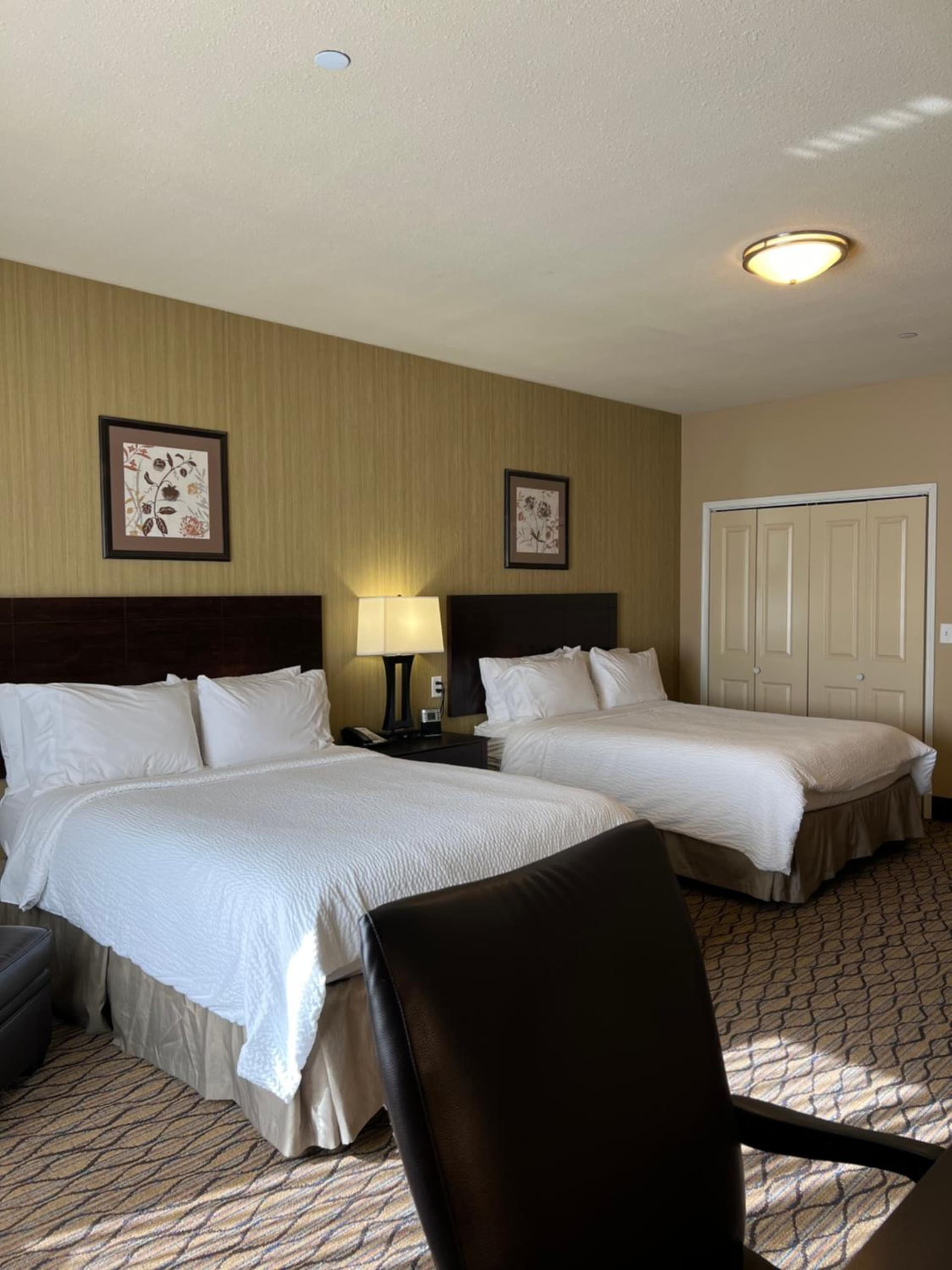 Holiday Inn Express & Suites - Williston by IHG interior in Williston, ND — gallery photo 2