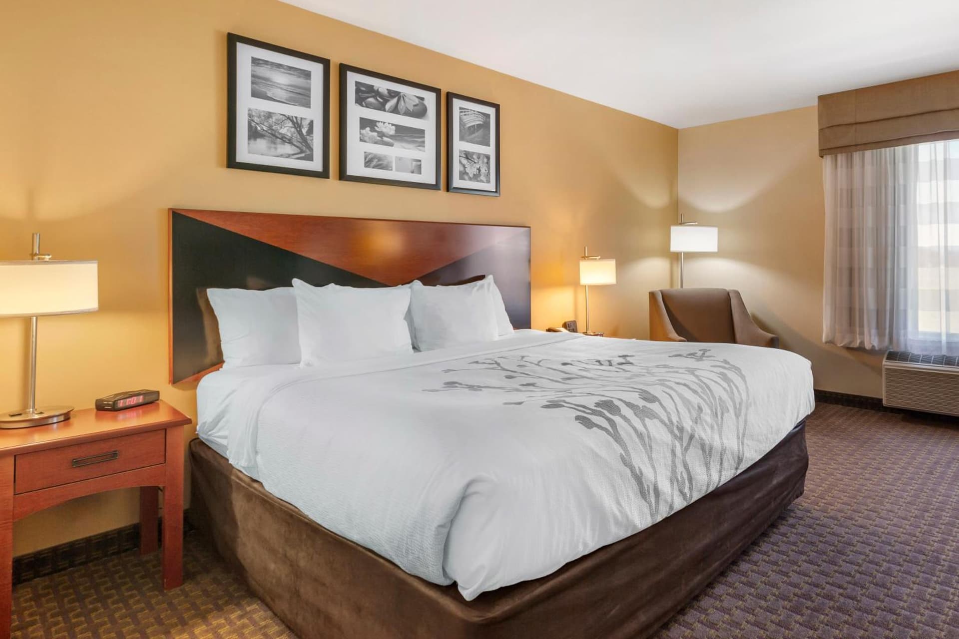 Garner Hotel Idaho Falls Southwest by IHG gallery photo in Idaho Falls, ID — image 26