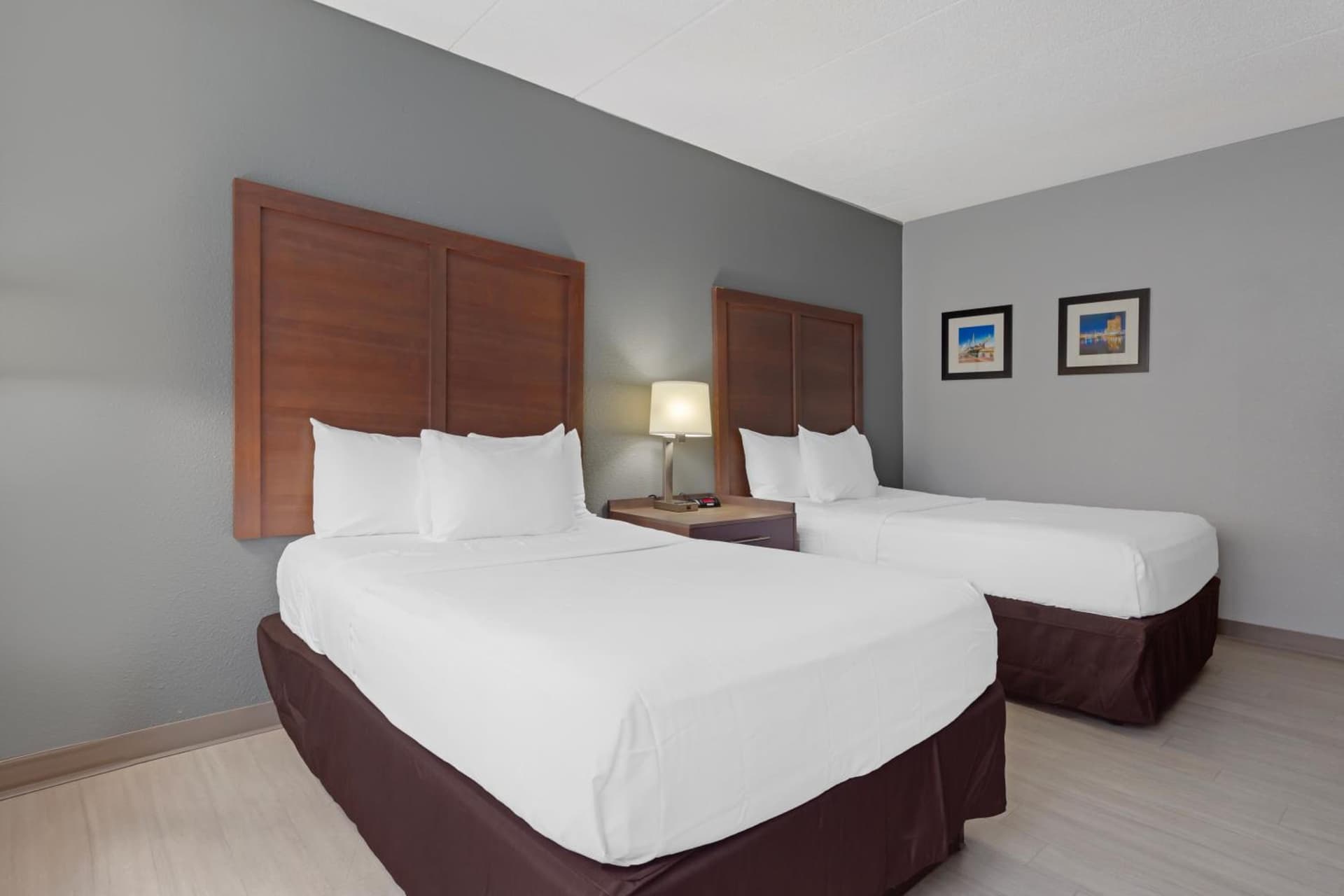 Clarion Hotel & Suites BWI Airport North gallery photo in Baltimore, MD — image 10