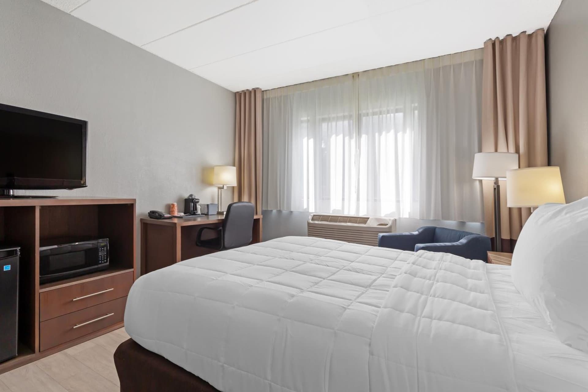 Clarion Hotel & Suites BWI Airport North gallery photo in Baltimore, MD — image 42