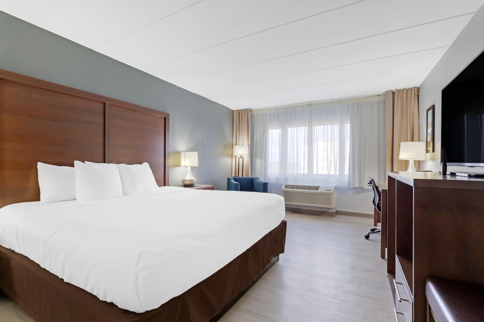 Clarion Hotel & Suites BWI Airport North gallery photo in Baltimore, MD — image 50