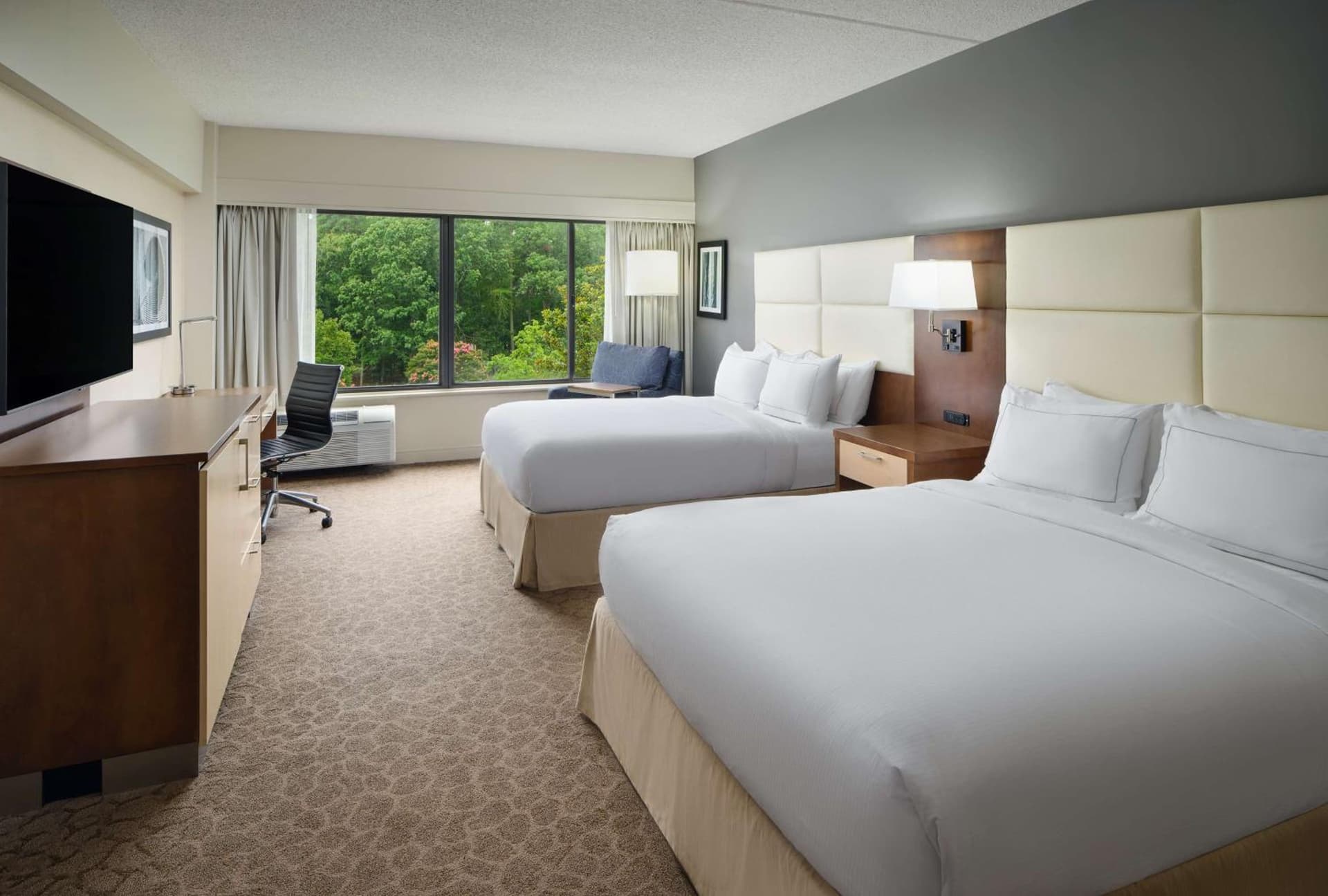 Doubletree by Hilton Hotel Williamsburg gallery photo in Williamsburg, VA — image 16