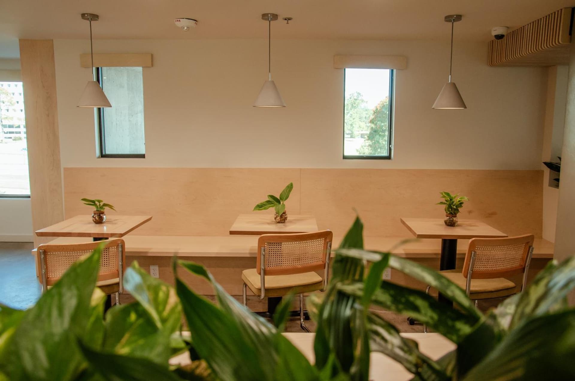 Brut Hotel gallery photo in Tulsa, OK — image 7