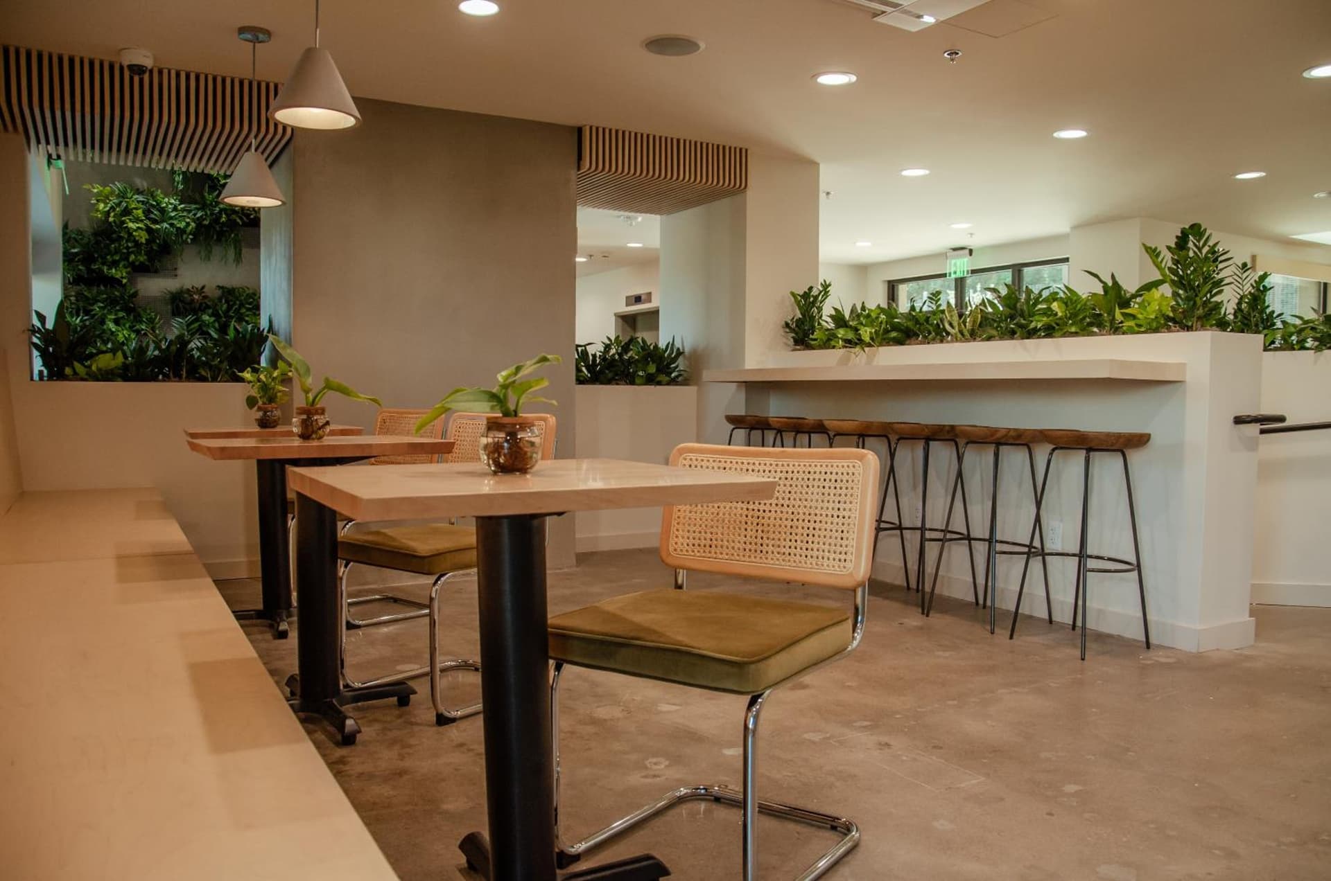 Brut Hotel gallery photo in Tulsa, OK — image 17