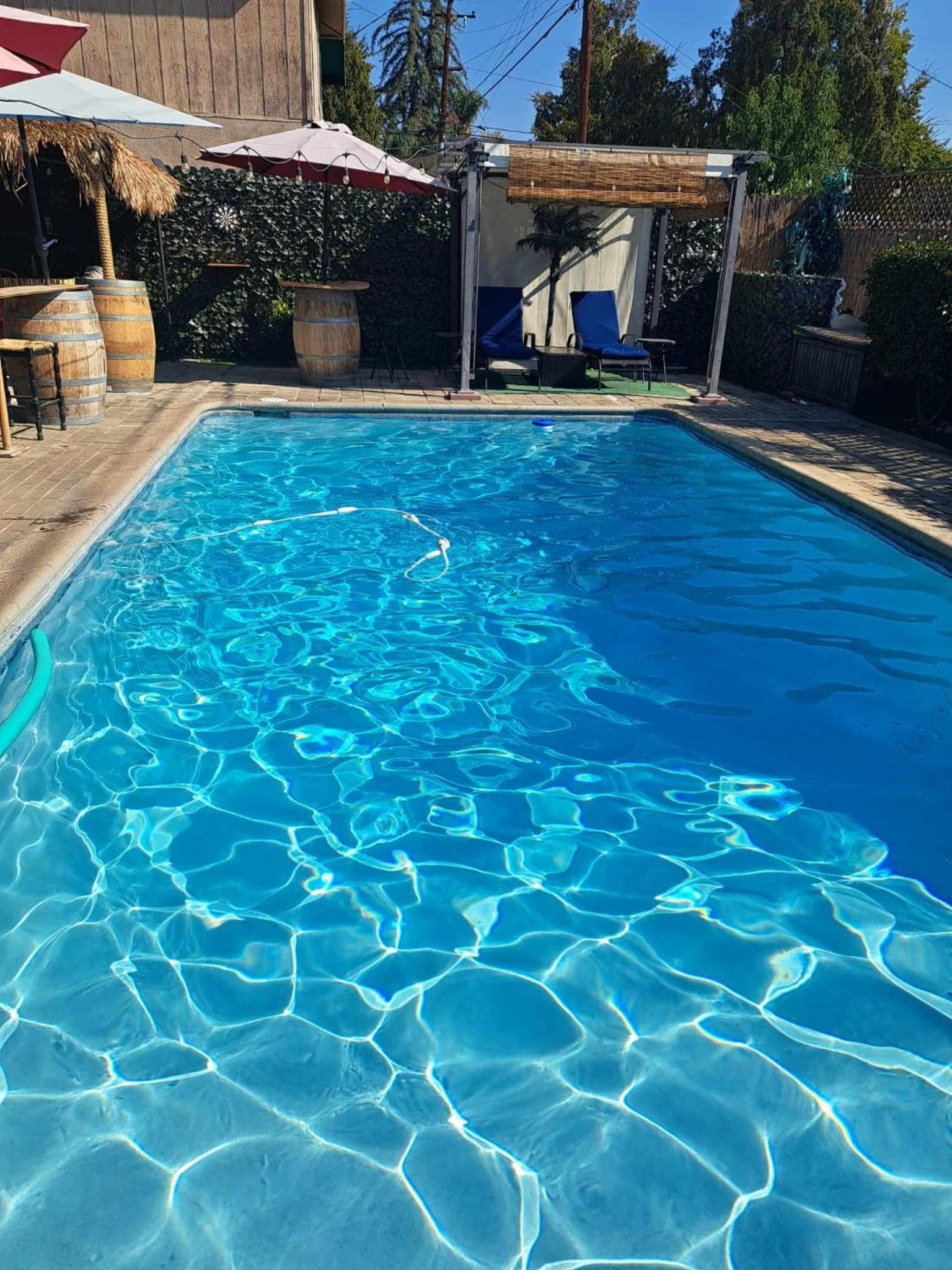 Tropical Paradise interior in Fresno, CA — gallery photo 2