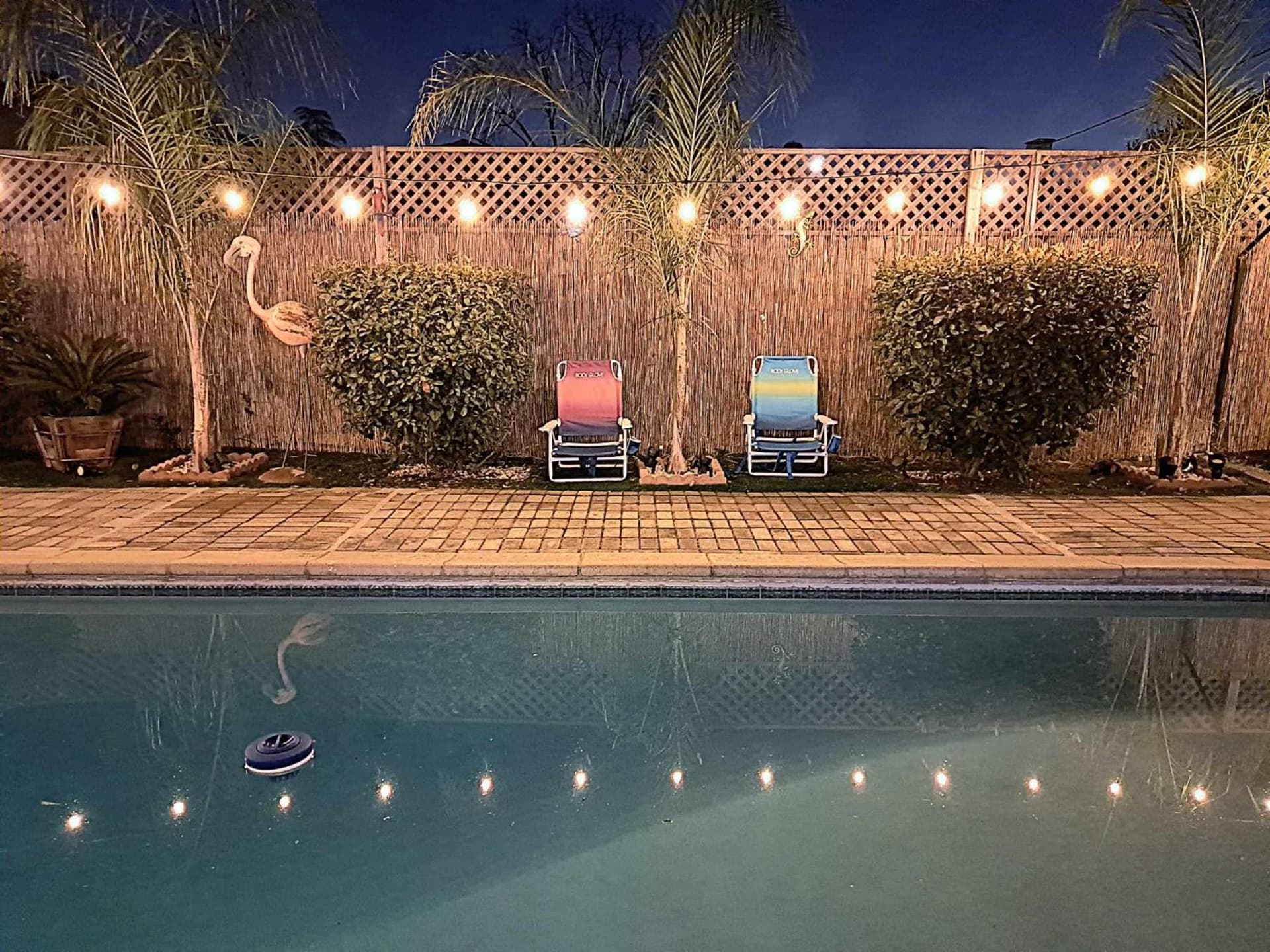 Tropical Paradise property views in Fresno, CA — gallery photo 3