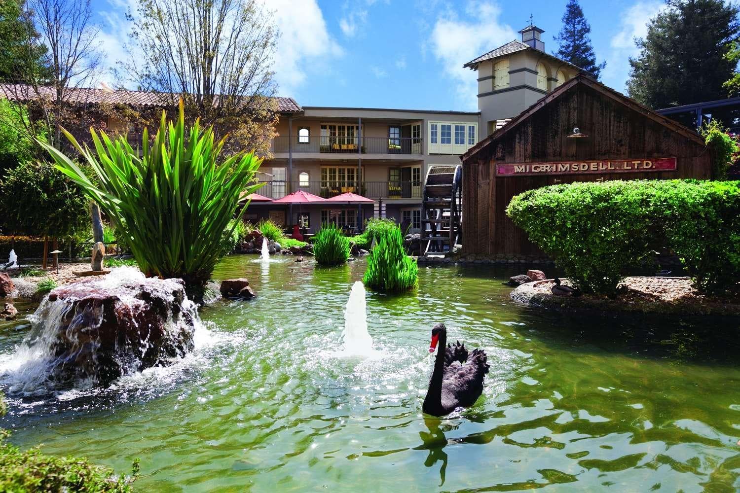 Casa Mani Resort Napa Valley, Curio Collection By Hilton gallery photo in Napa, CA — image 15