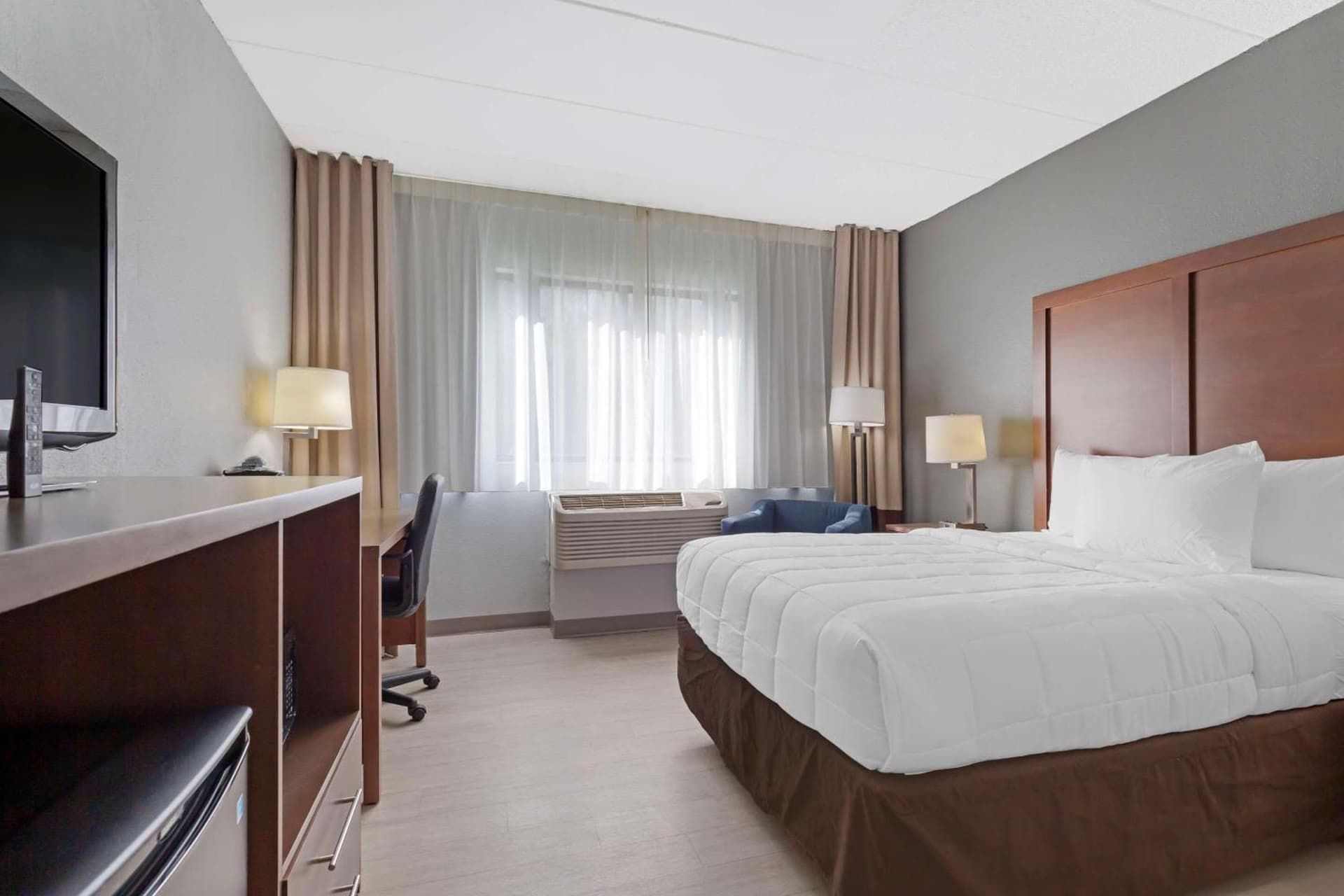 Clarion Hotel & Suites BWI Airport North gallery photo in Baltimore, MD — image 58
